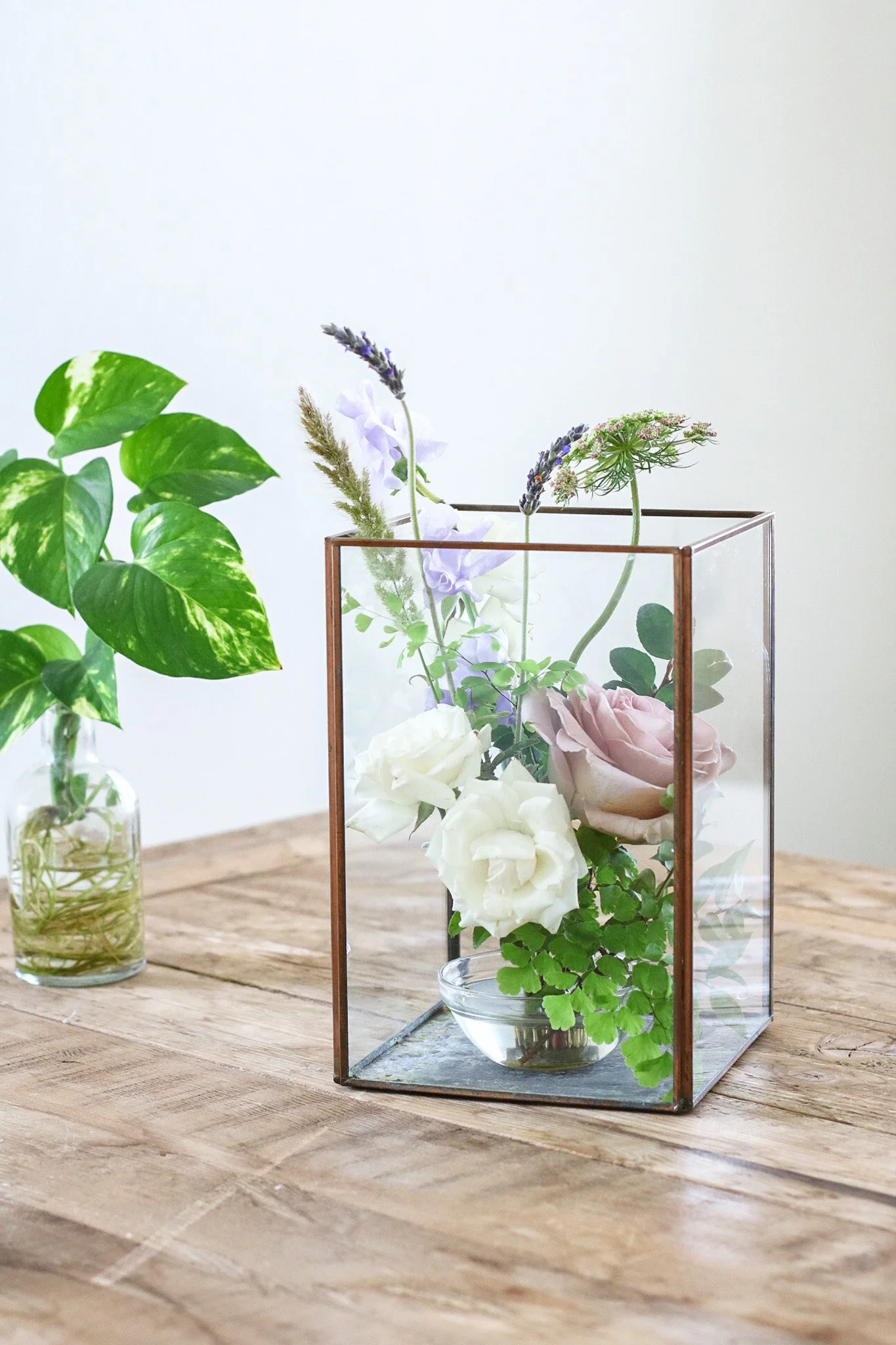 Glass Terrarium  $45 | $55