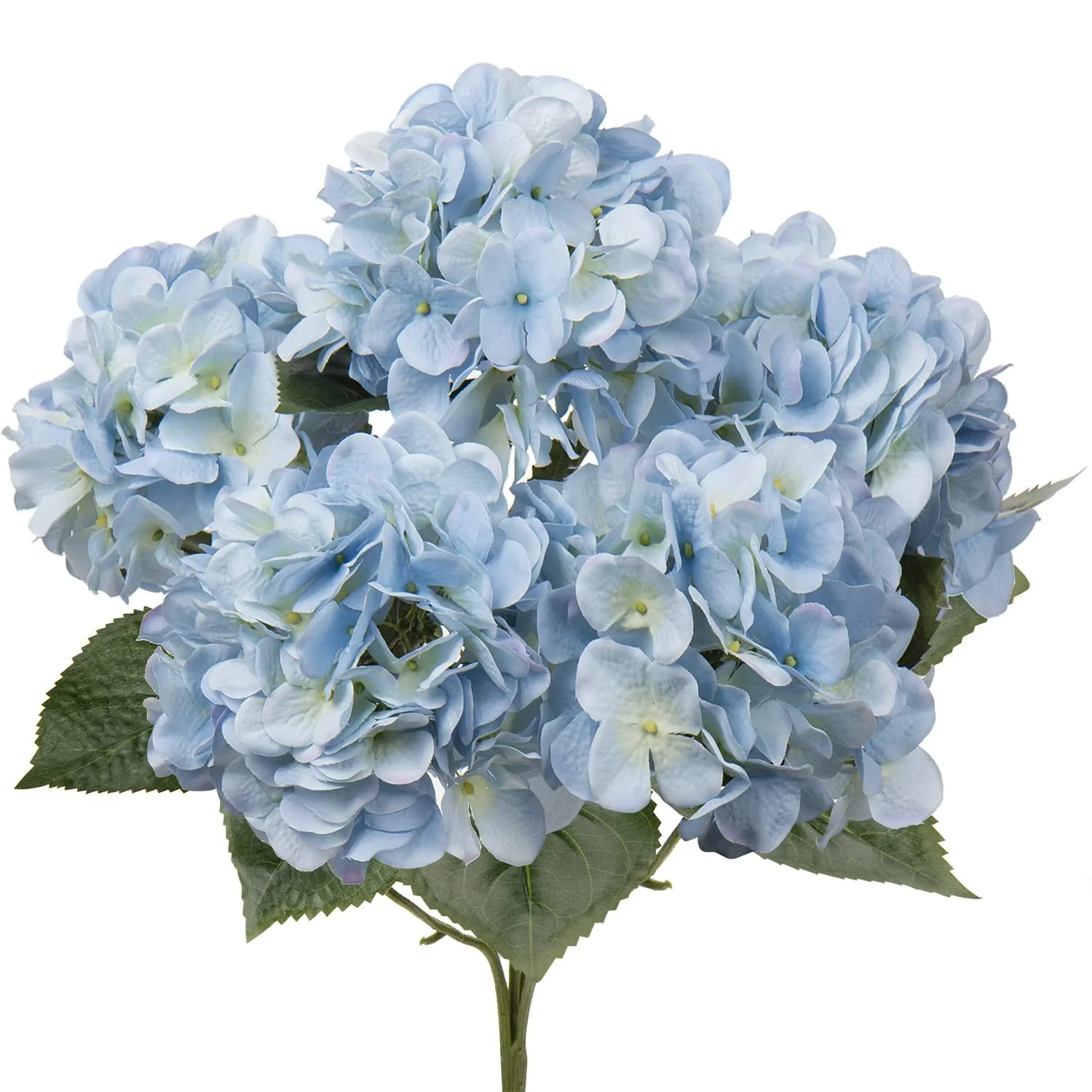 blue hydrangea - 80 stems