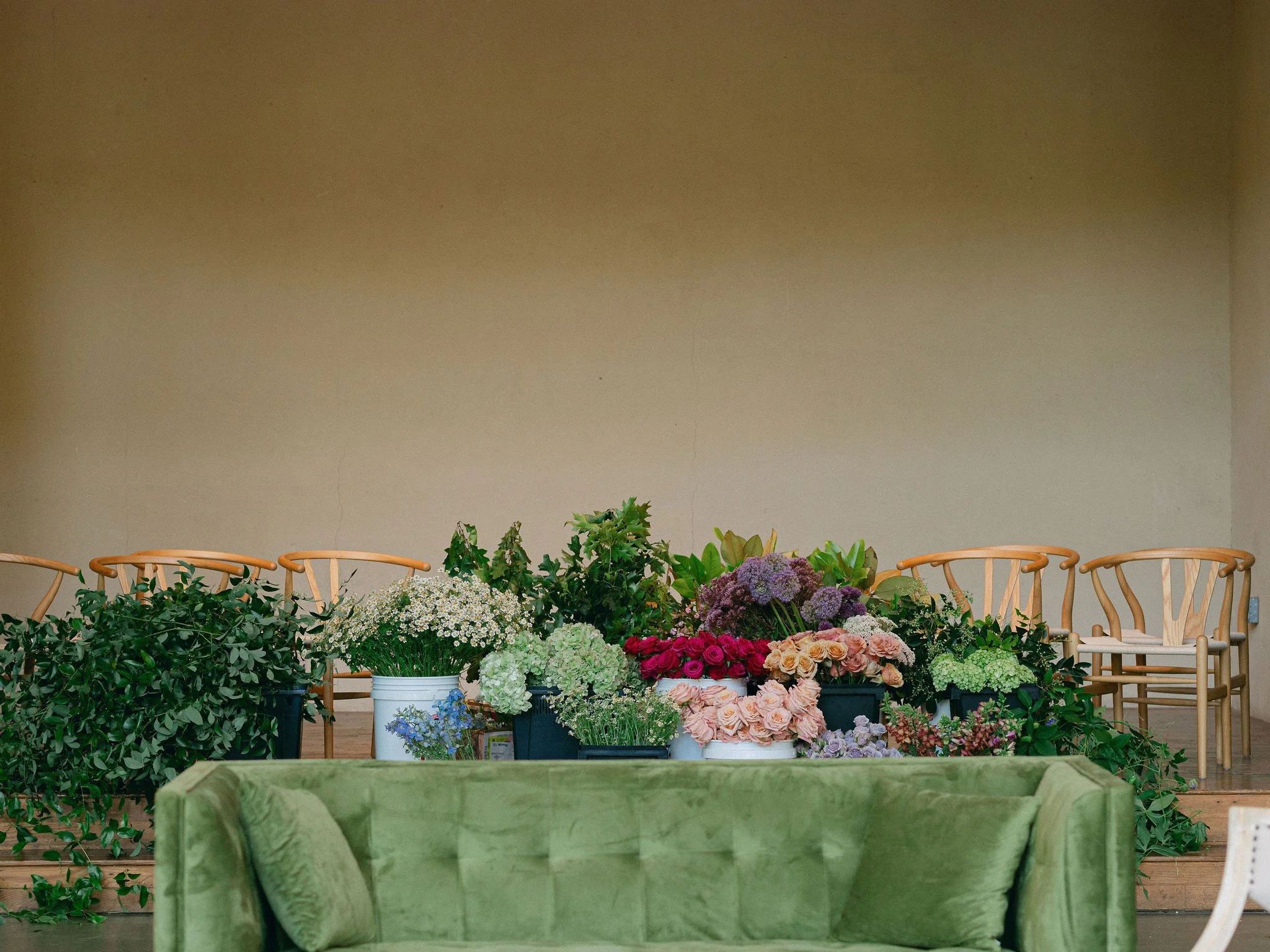 STEMS|FullGallery#-17.jpg