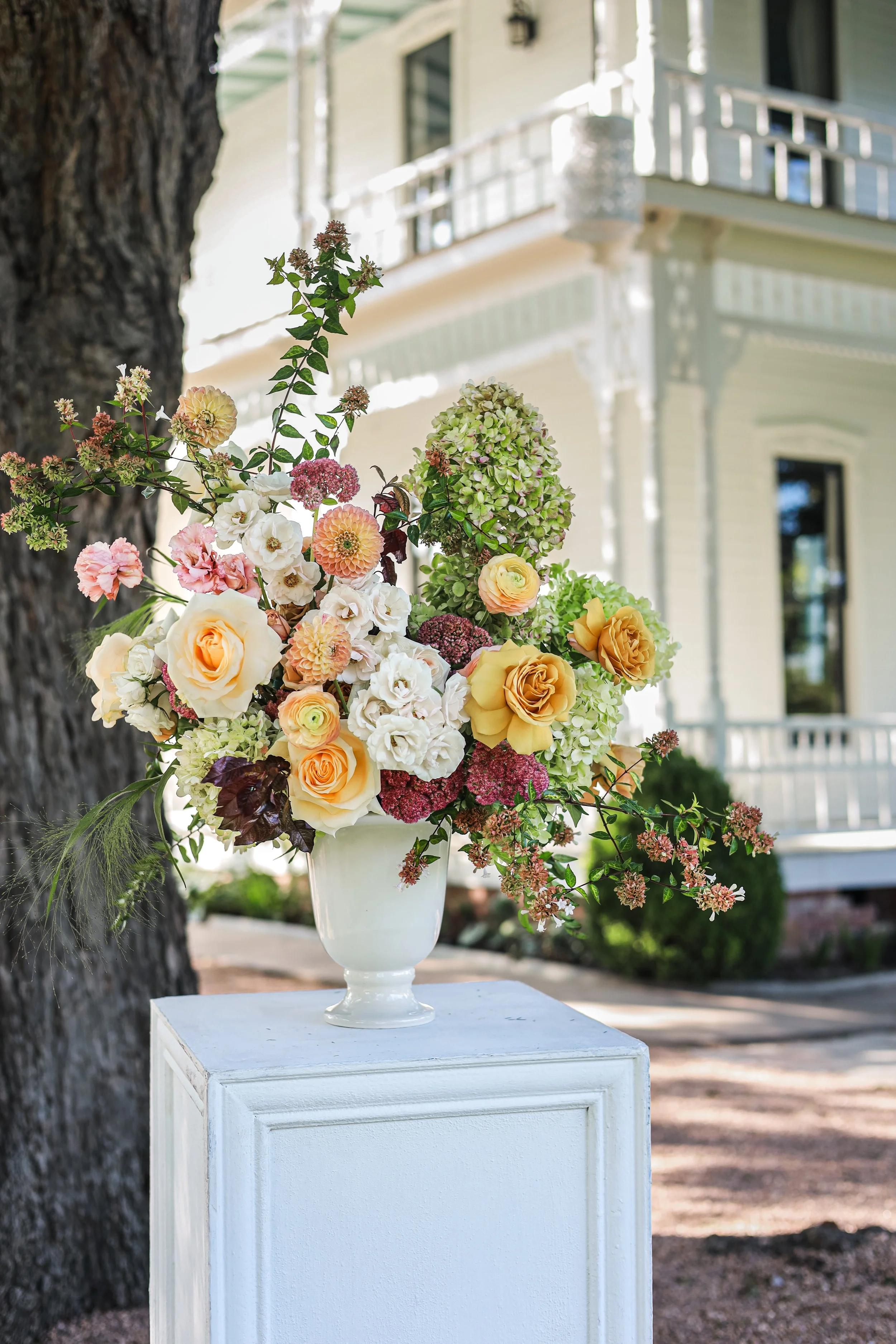 Photo Sep 09 2025, 17 21 34.jpeg