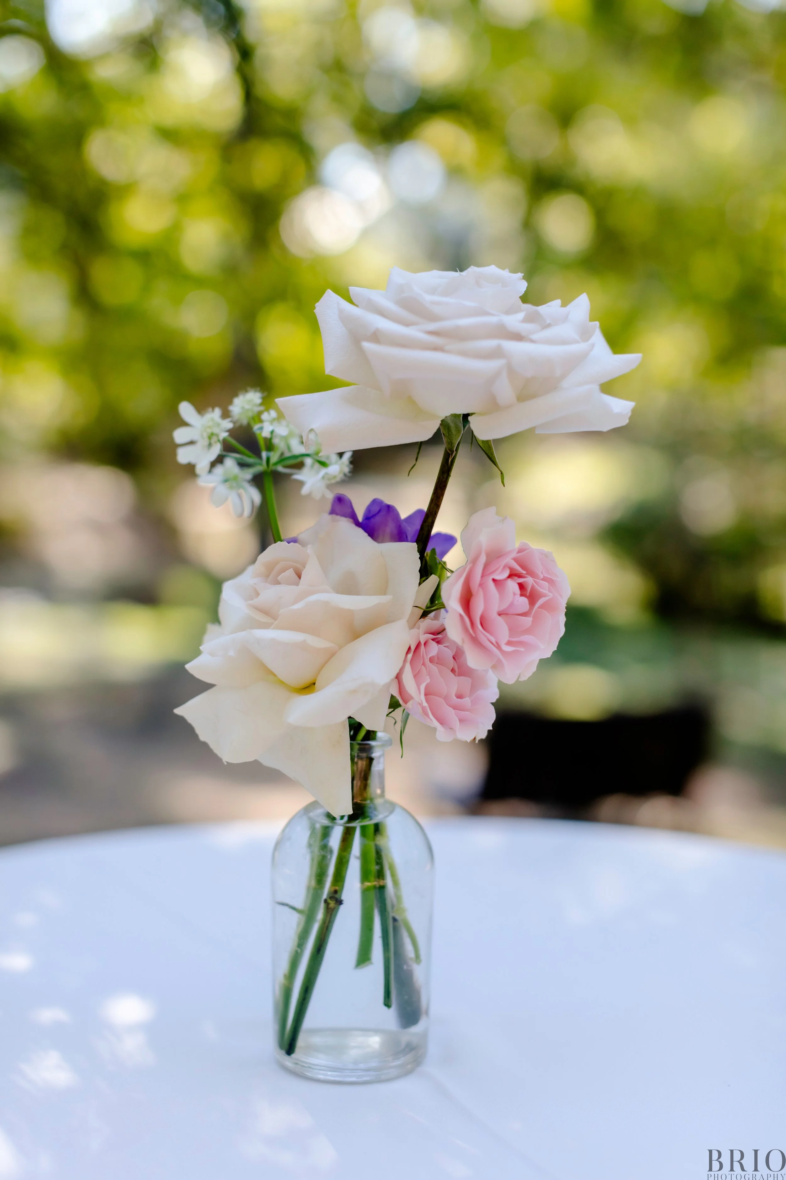 1532_Brio Photography.JPG