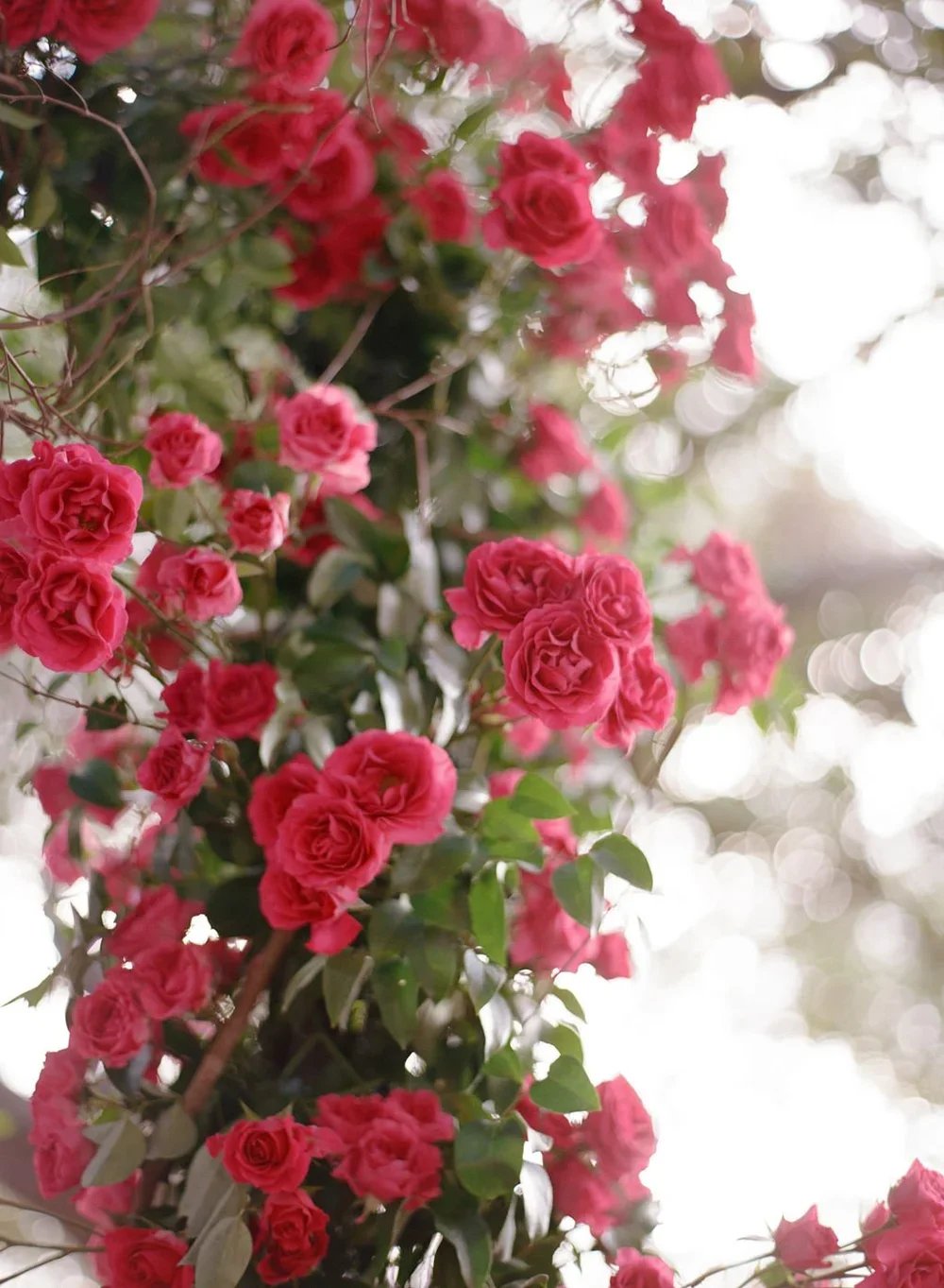 Optional Breakdown Service