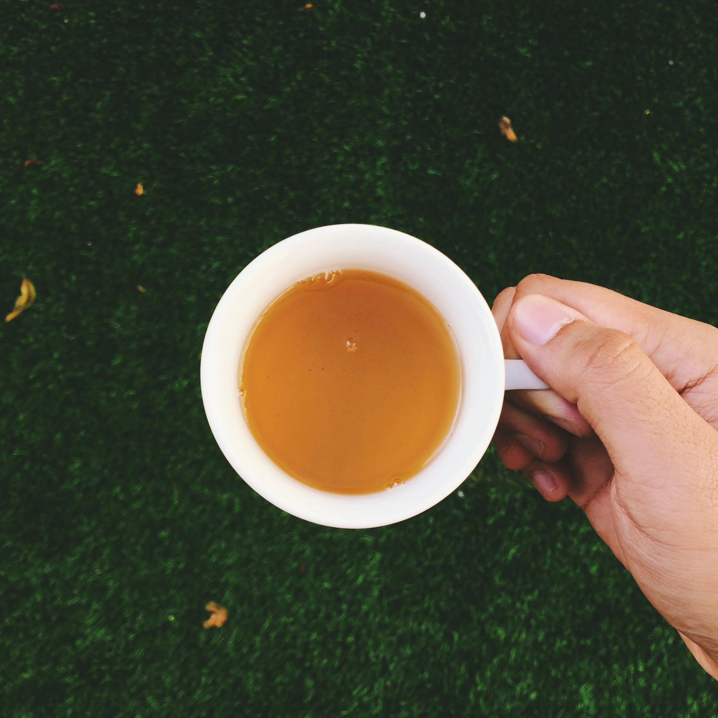 Green Tea with Brown Rice  (Copy)