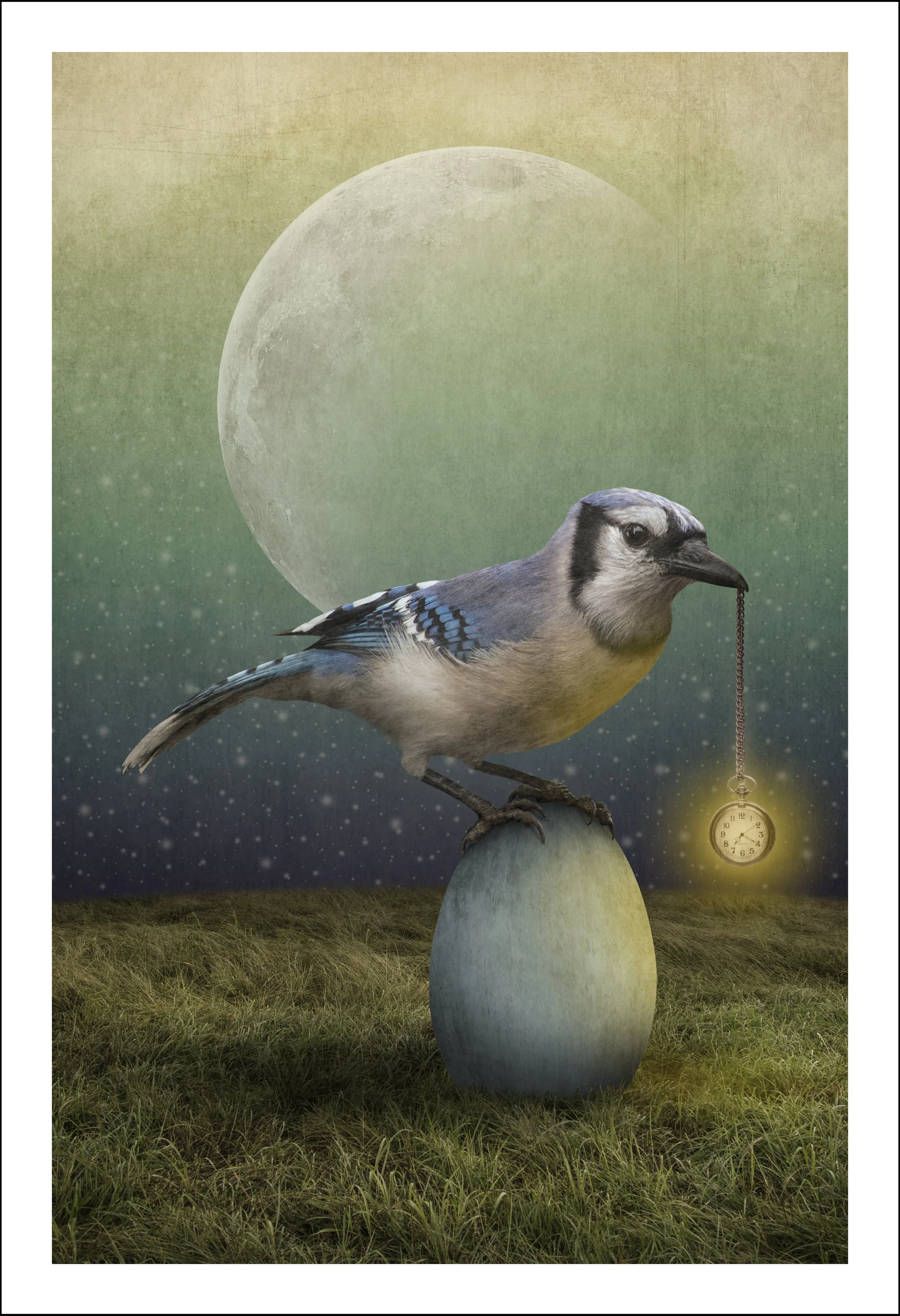 Protector Of Time.jpg