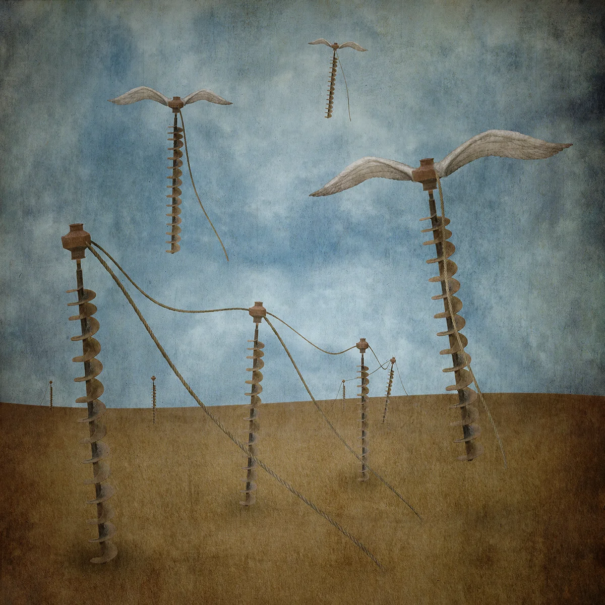 Auger