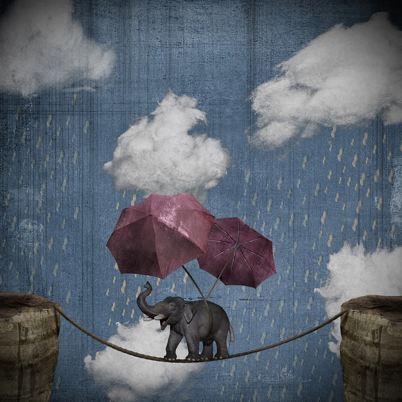 Highwire.jpg