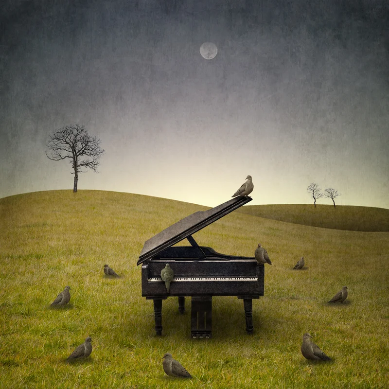 Piano.jpg