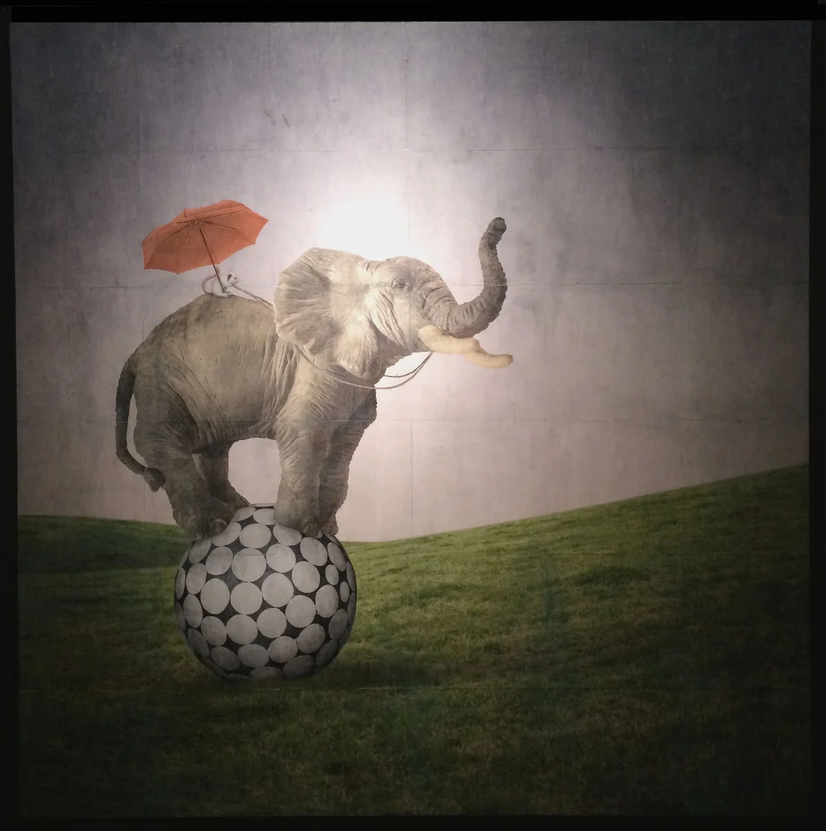 A-Day-off-From-the-Circus-gridded-photograph-on-panel-with-gel-49-x-49-inches-GNO-118G.jpg