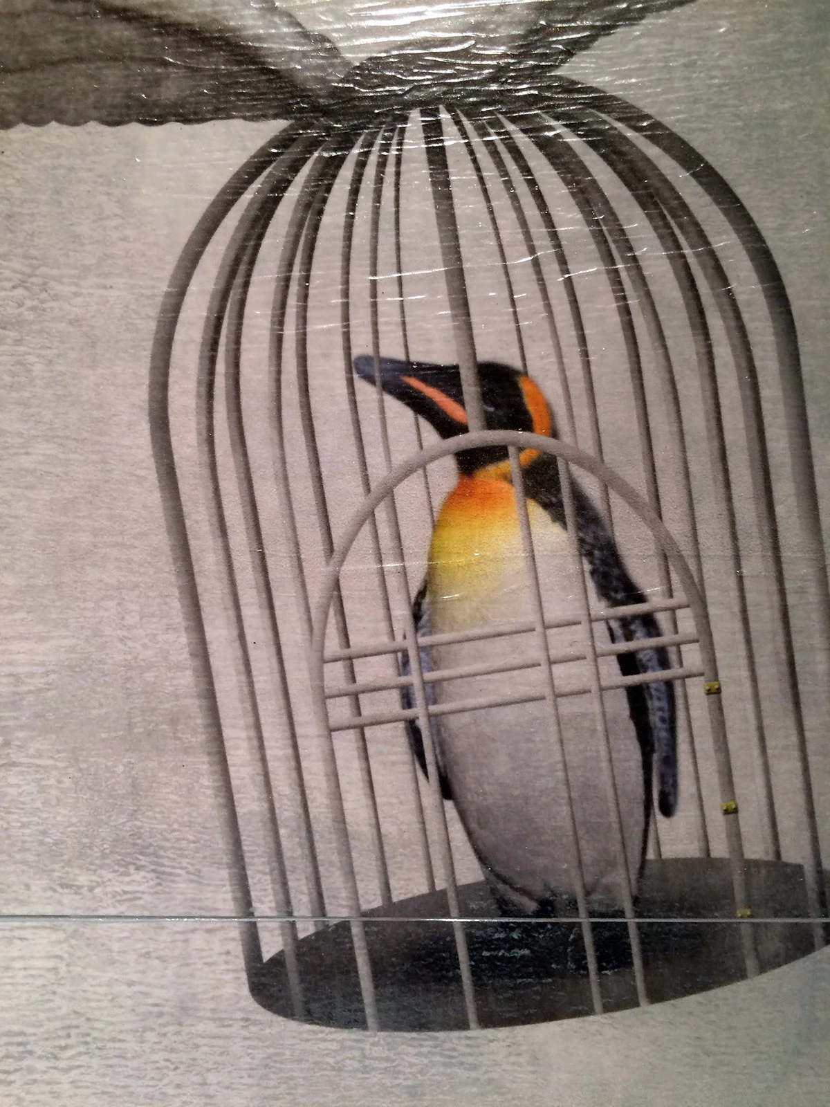 Flight-of-the-Penguins-Detail-1.jpg