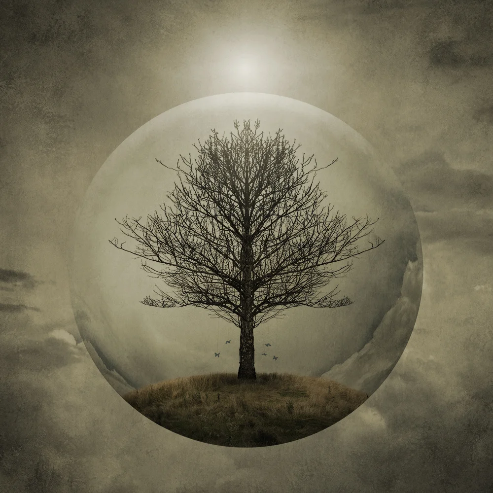 Tree Of Life