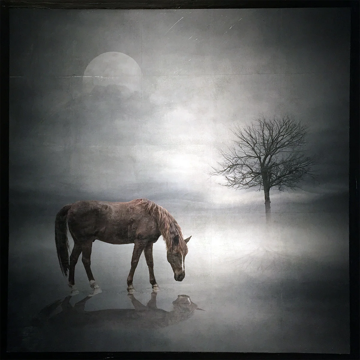 Equinemity-gridded-mixed-media-photograph-on-panel-30-x-30-inches-GNO-147G.jpg