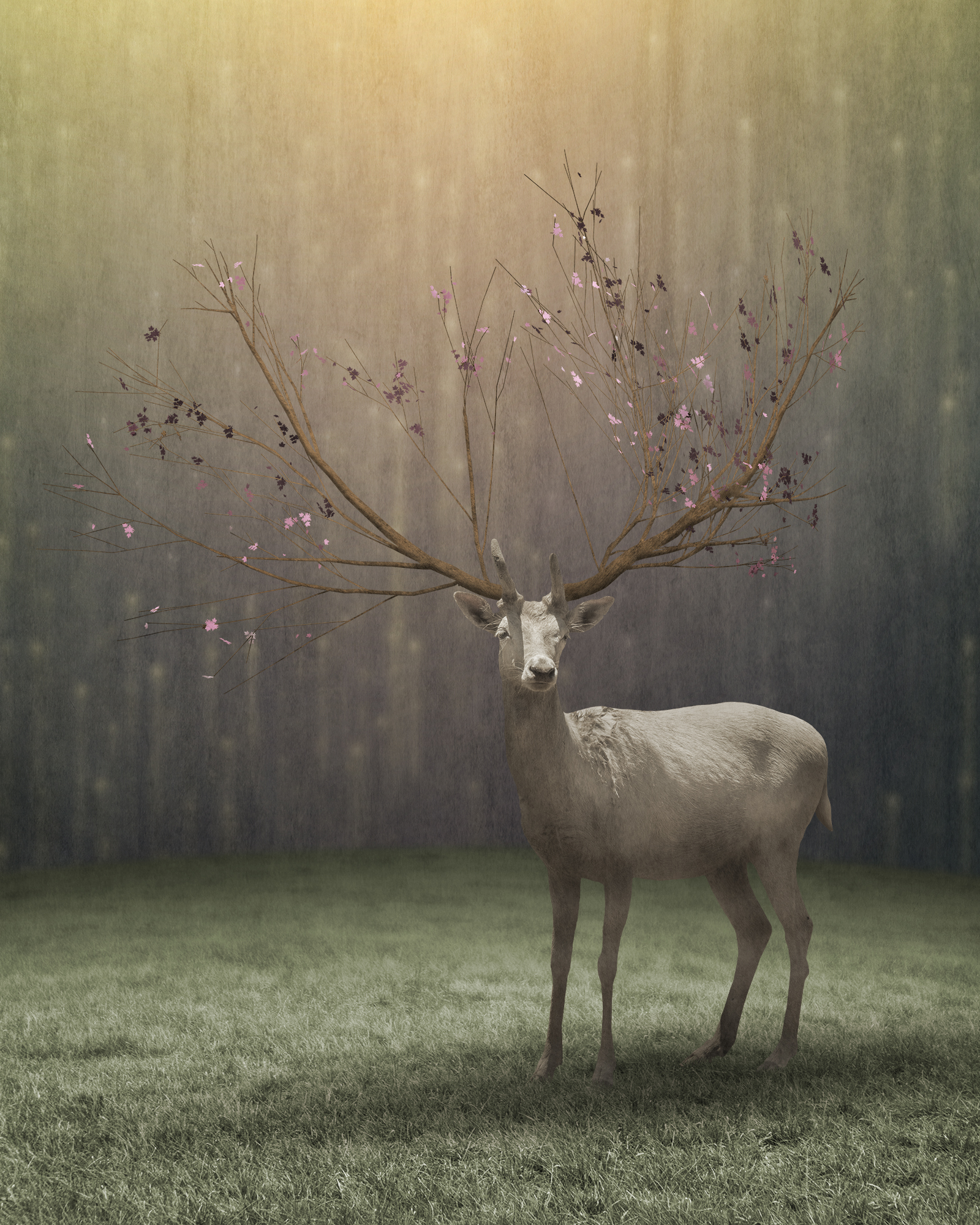 The Enchanter