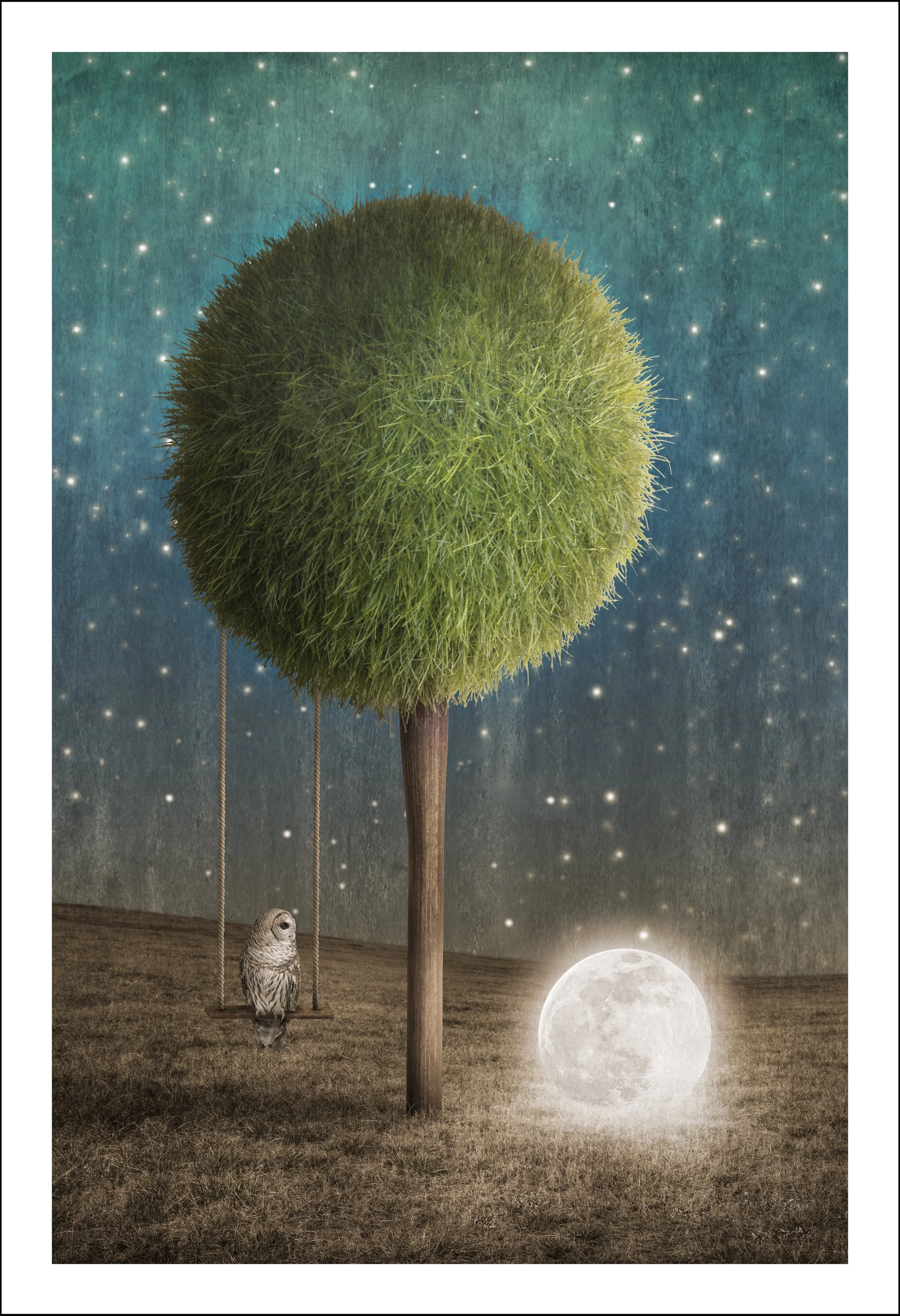 Tappy And The Moon.jpg