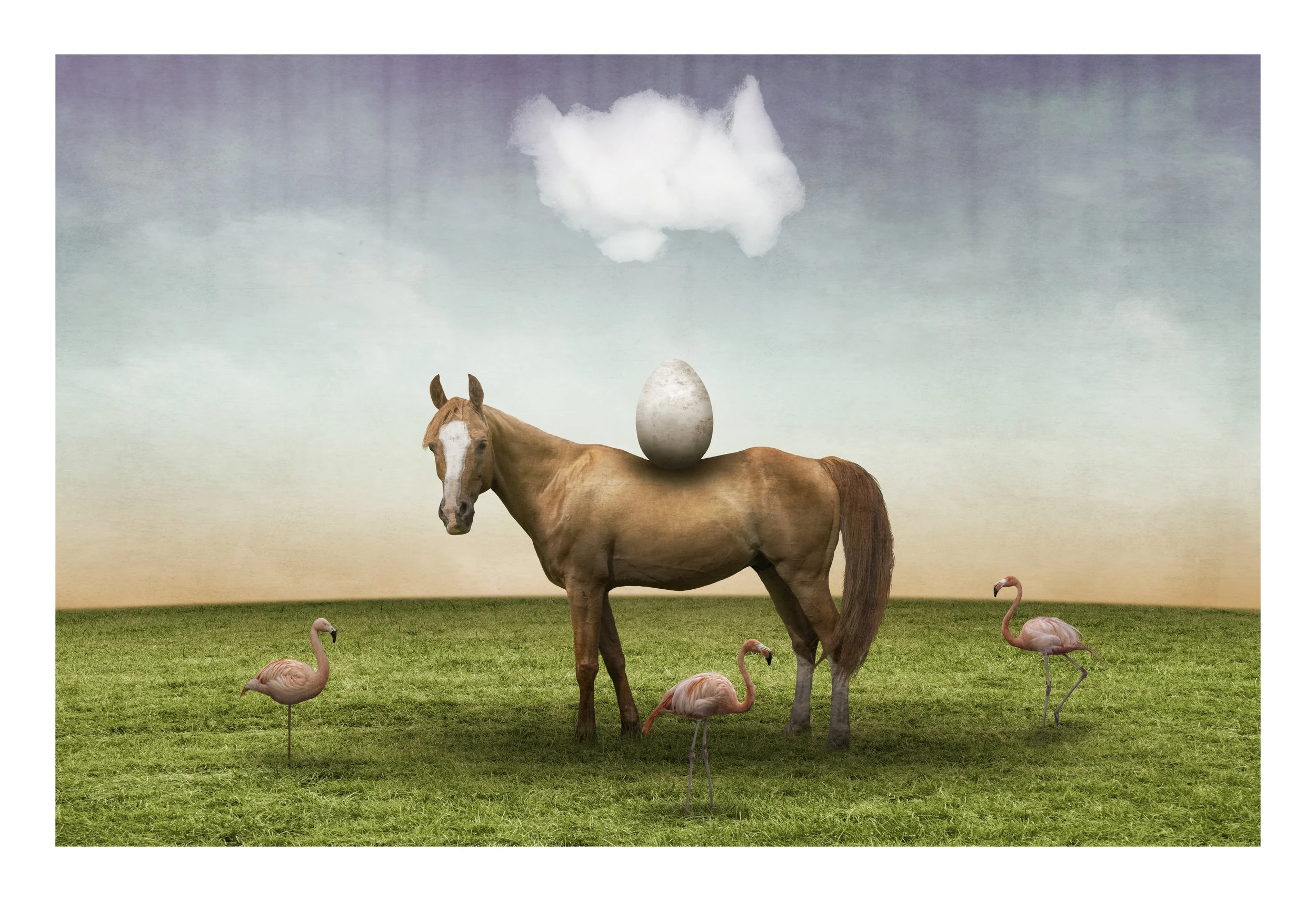 The Burden Of Becoming.jpg