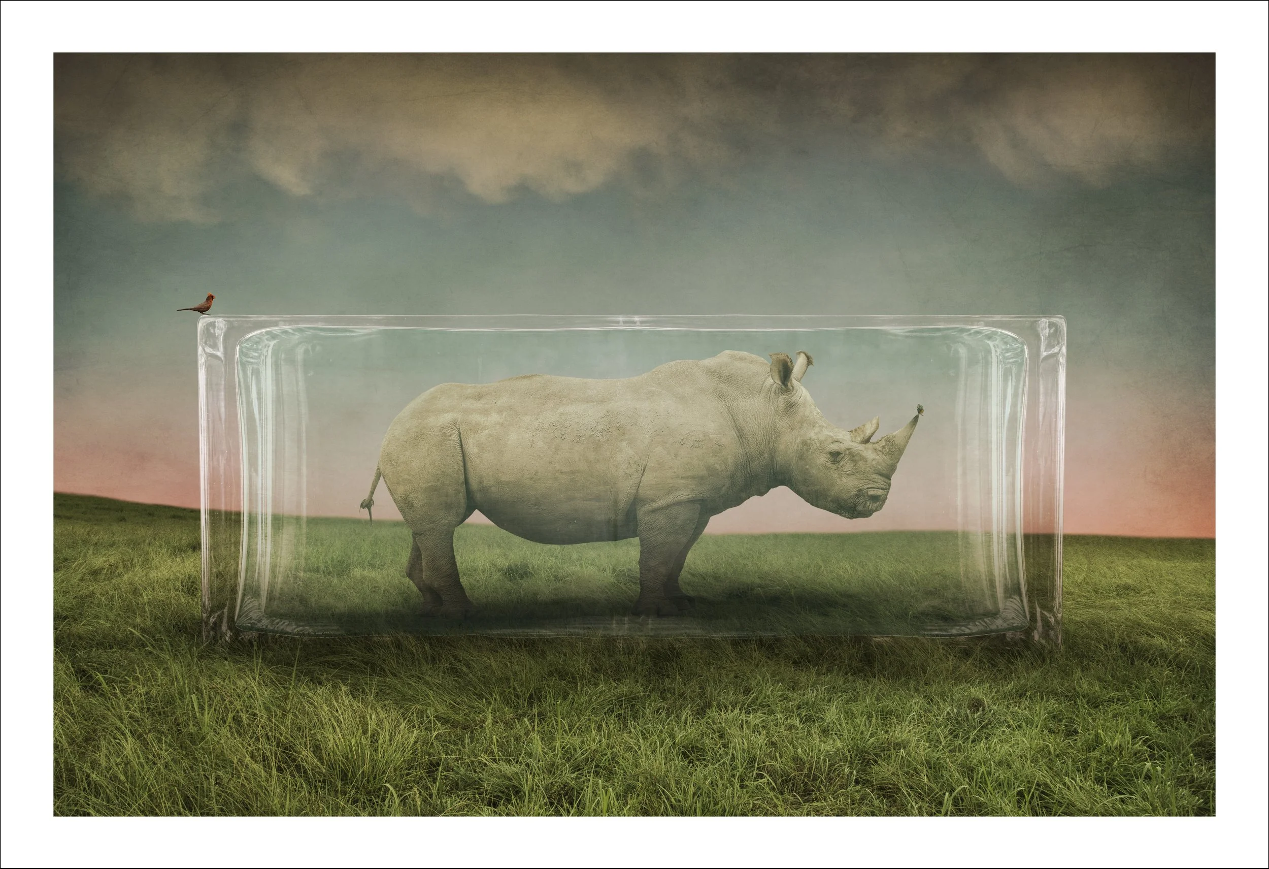 We'll Meet Again.jpg