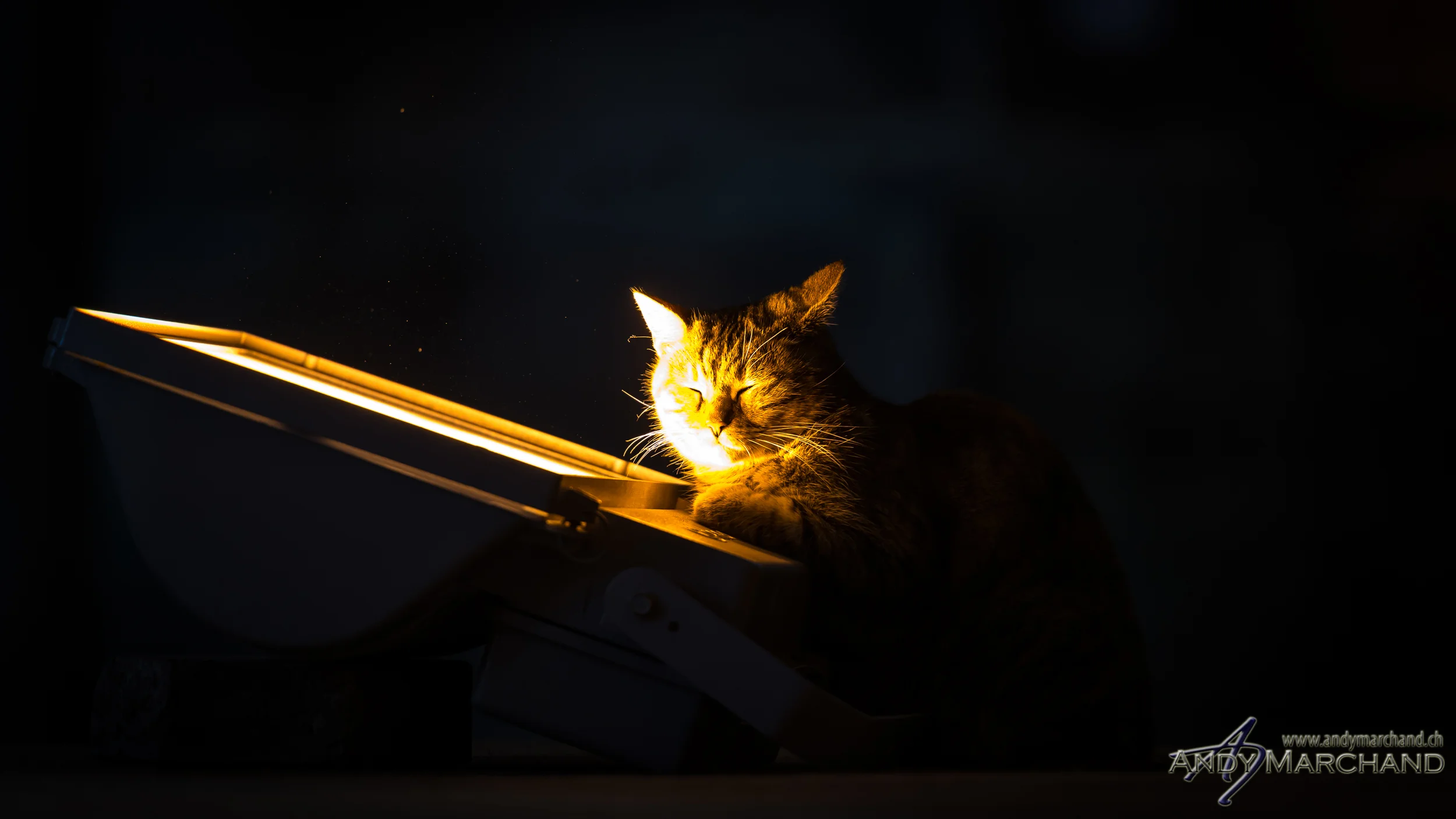 Hagia Sophia Istanbul 2012