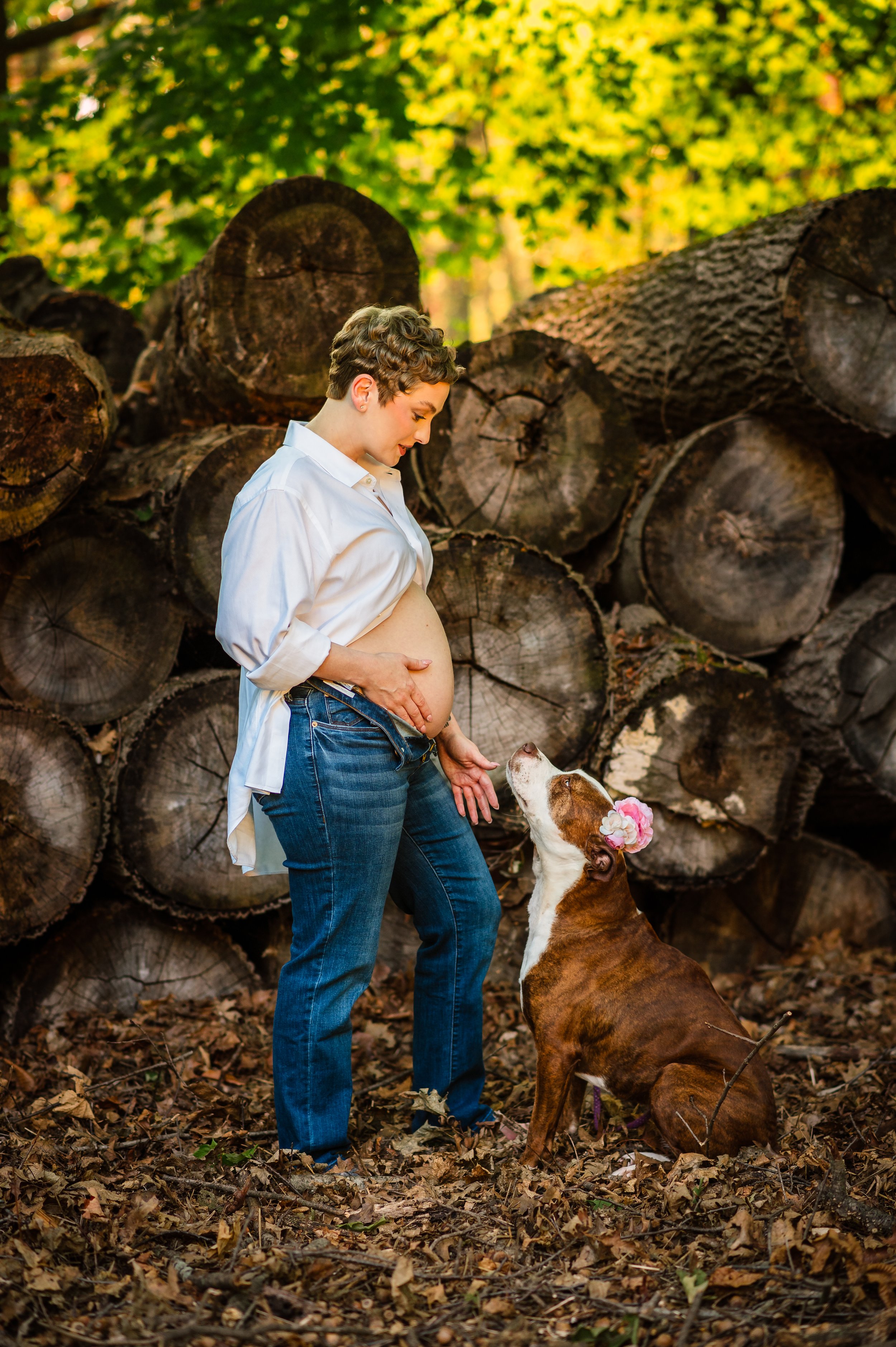 A pregnant woman with short curly hair, wearing a white shirt and jeans, standing outdoors among fallen leaves and large logs, holding her belly with one hand and gently touching her dog, a brown and white pitbull wearing a pink flower collar, sittin