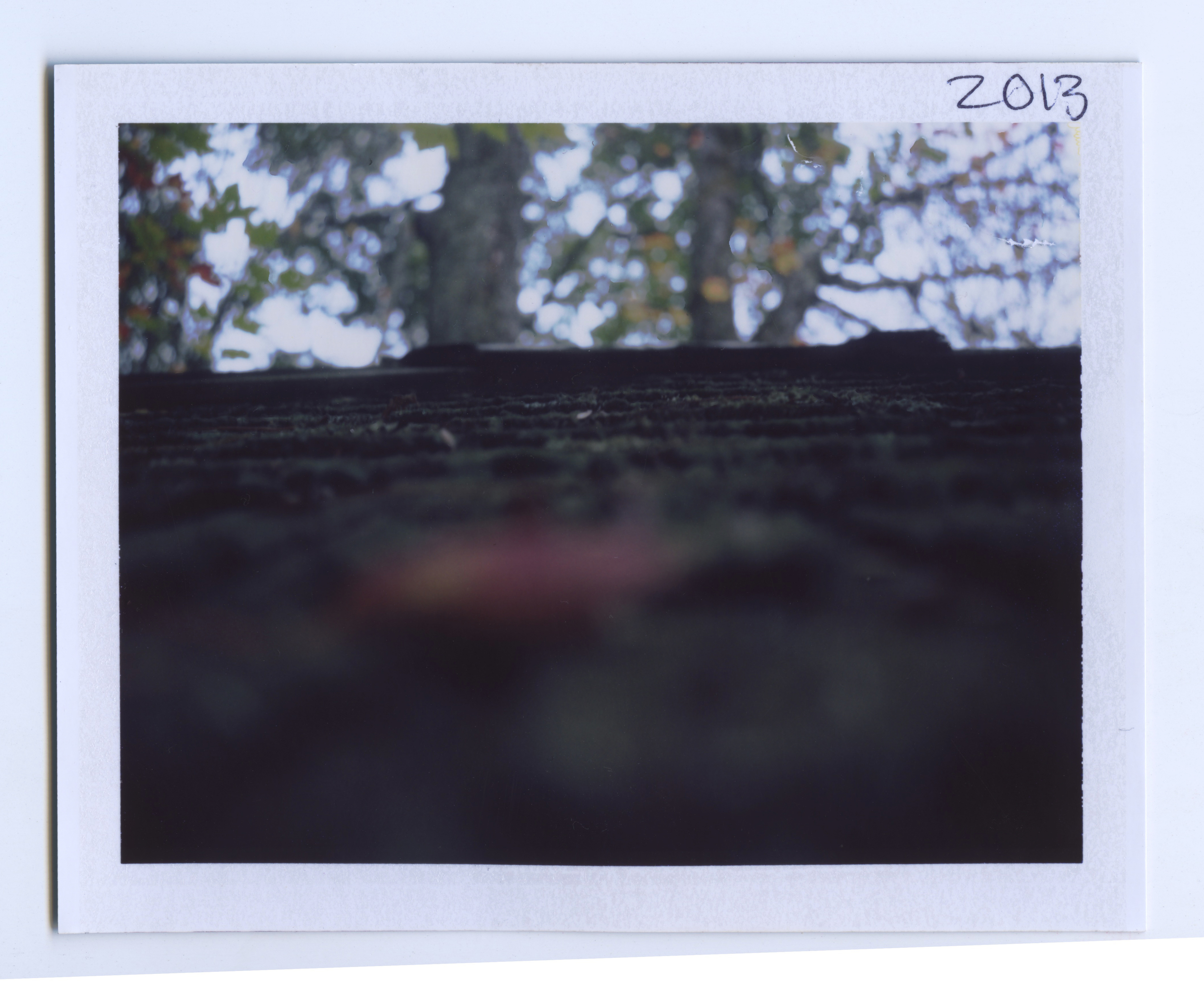 Scan 6.jpeg