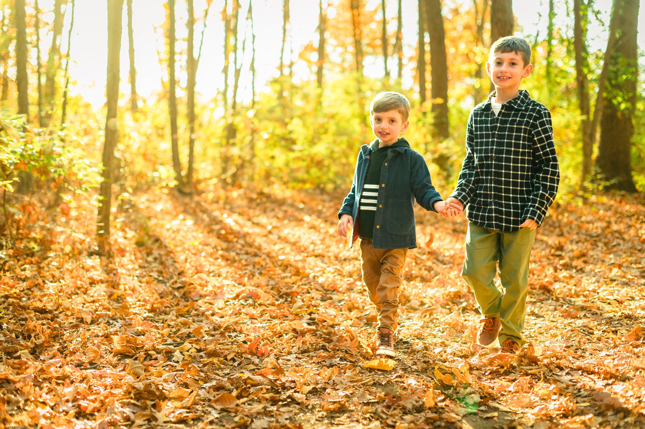 Two young boys walking hand-in-hand through a leaf-covered forest during autumn with sunlight filtering through the trees.