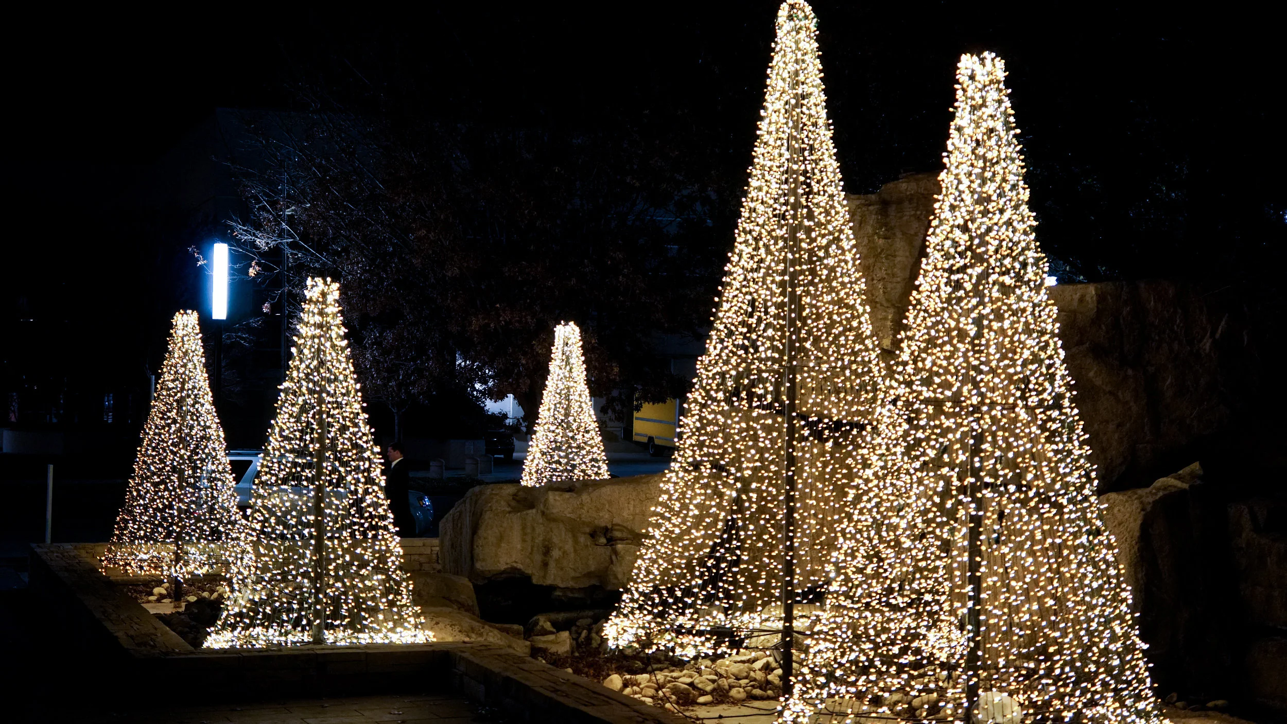 Lit Trees