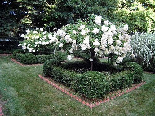 http://www.catholichomeandgarden.com/Garden%20Statues/boxwood%20hedges.jpg