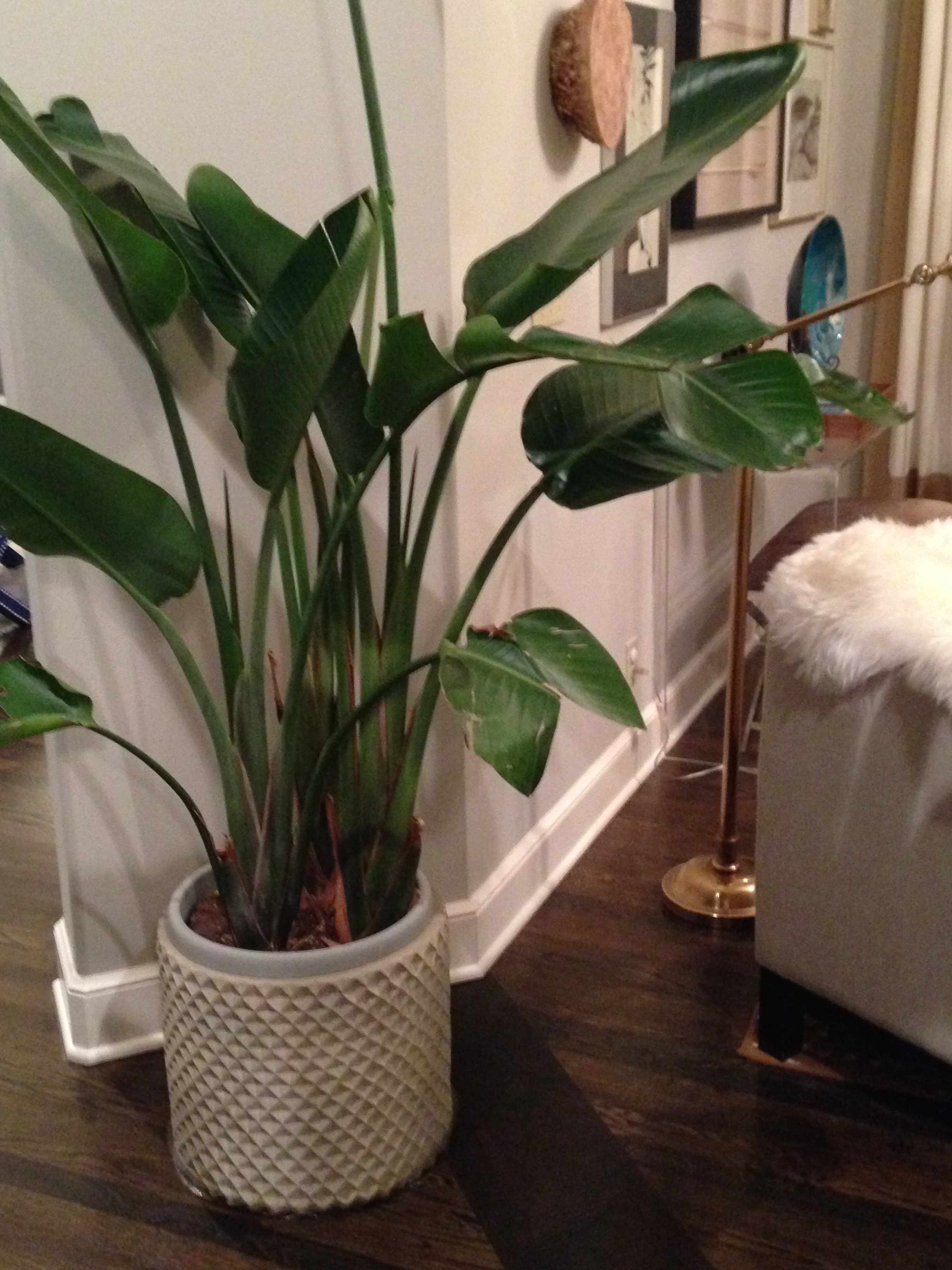 Texture and pattern on pot