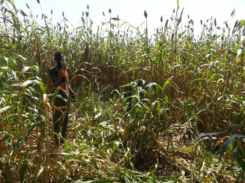  One of the children from Nhomlau Children's Centre. 