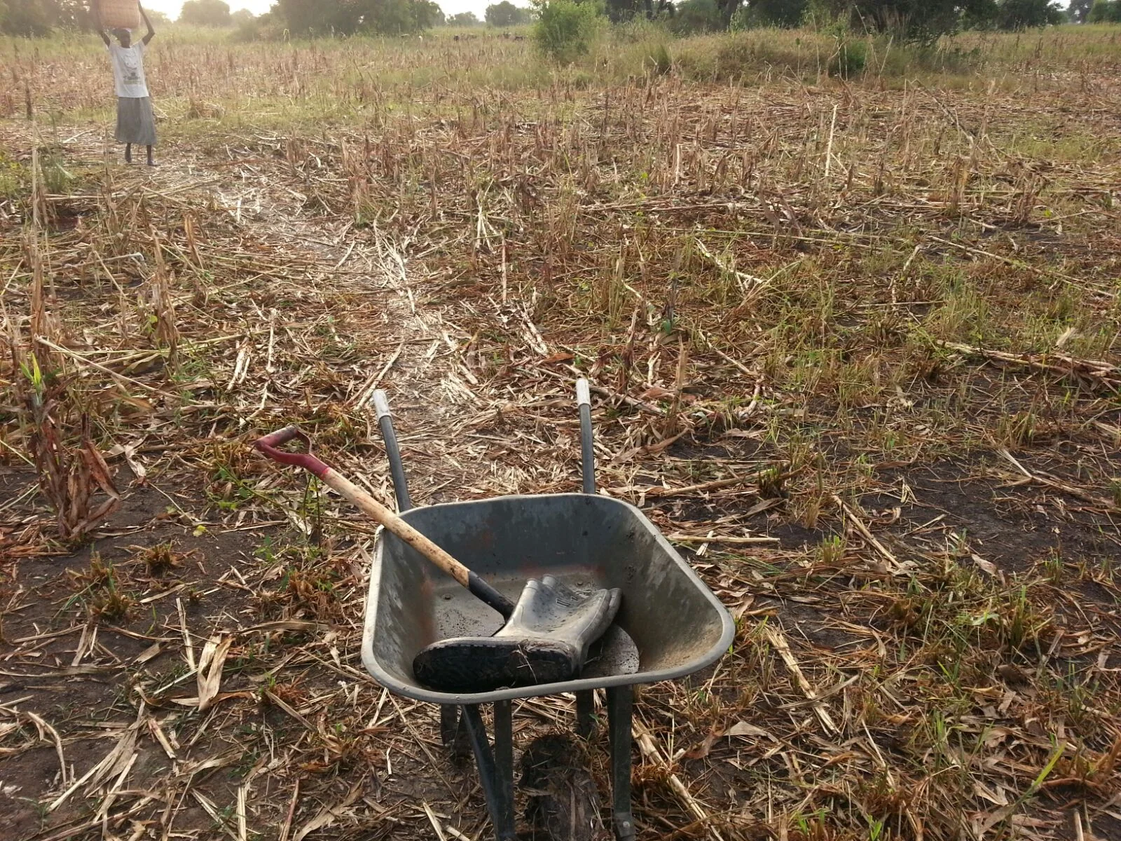  Big work done for the day. 