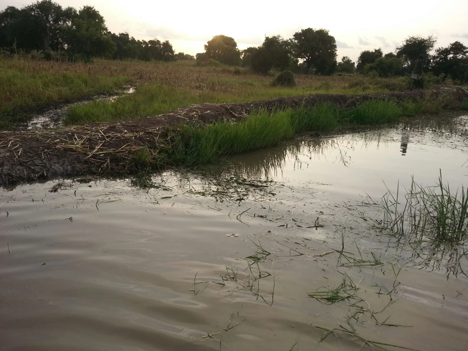  You see the rain water was nearly hitting our garden -&nbsp;as high as 40cm but the moat we built this year was stronger than last year - success! 