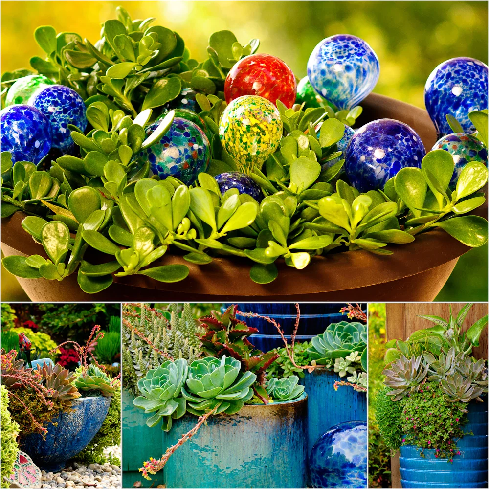 Patti Brisebois' Manitoba zone 3 garden. To add punches of colour to her garden, Patti has numerous plantings in blue containers.
