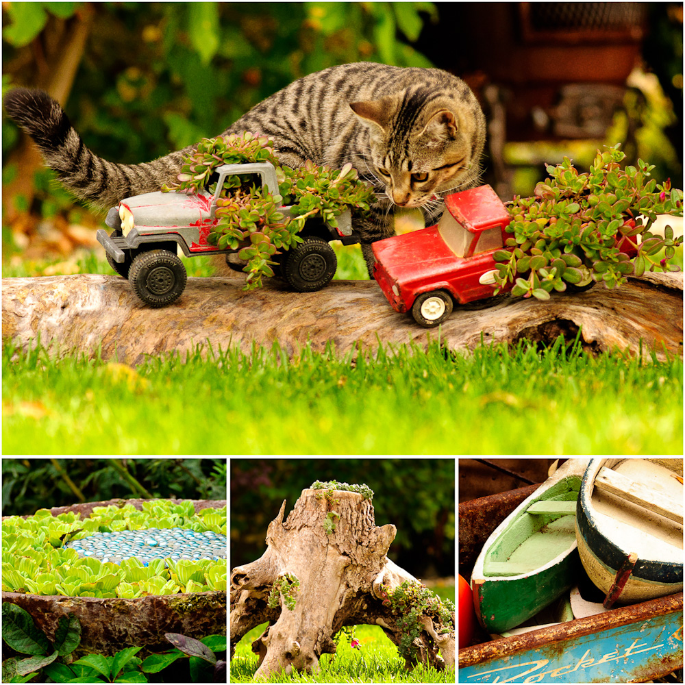 Patti Brisebois' Manitoba zone 3 garden. Patti's plantings are very creative and include old toy trucks, tree stumps and driftwood.
