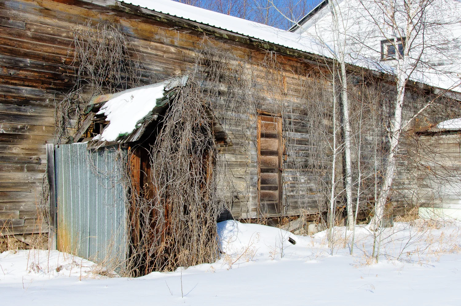 Bought an old general store! - My Painted Door (.com)