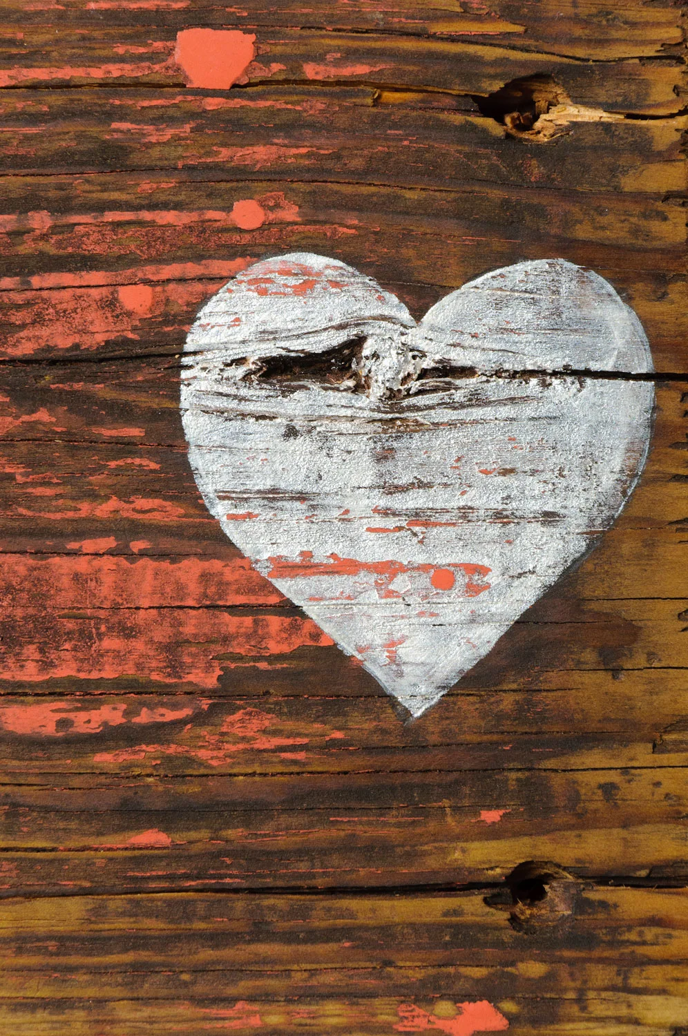 Handpainted signs with Mustard Seed's milk paint and Fusion mineral paint - via My Painted Door (.com)
