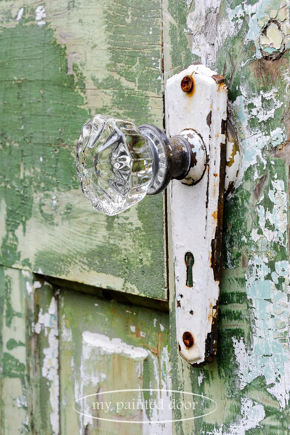 Repurposed doors for your garden - glass doorknobs