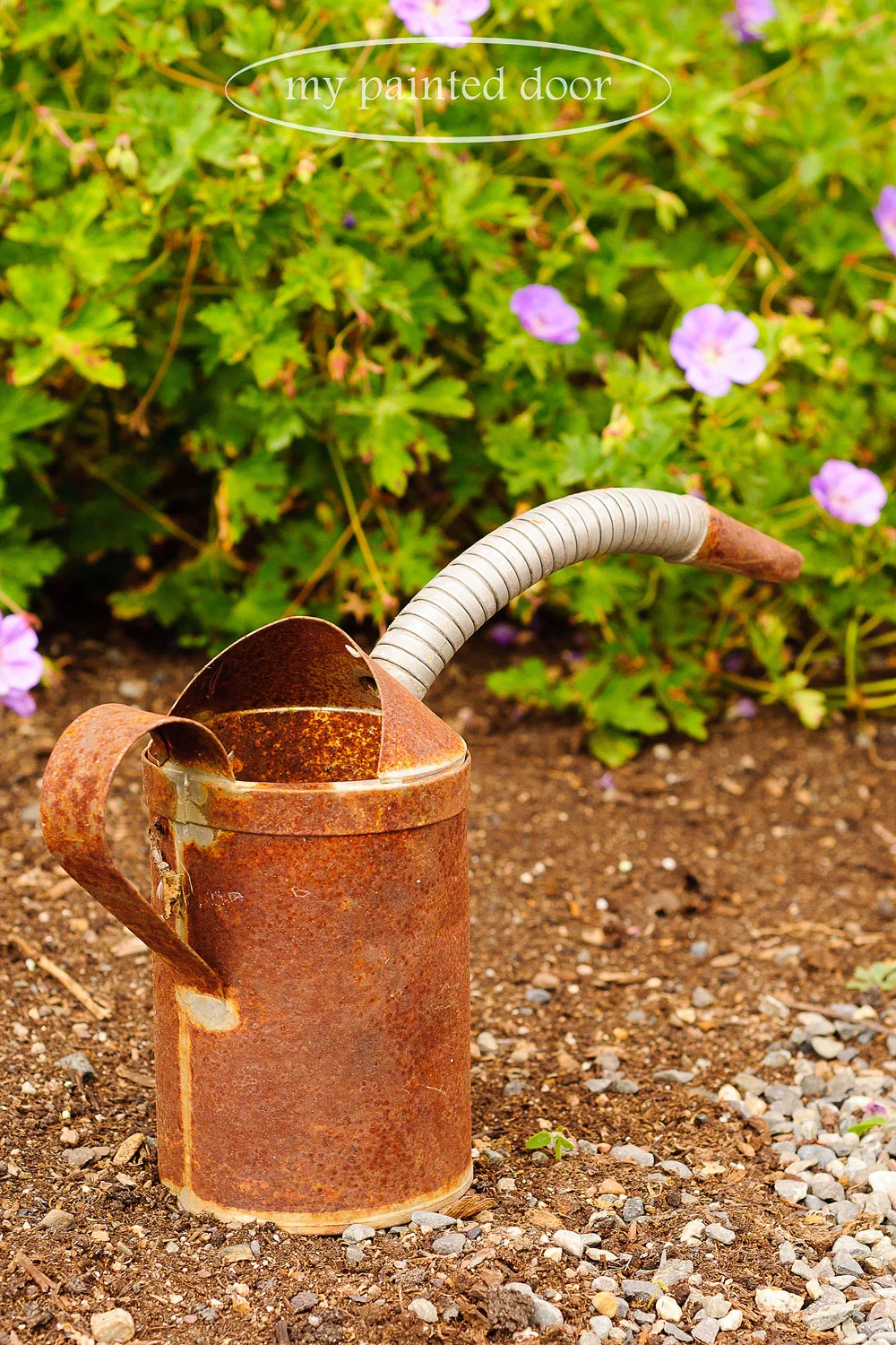rusty can for my garden