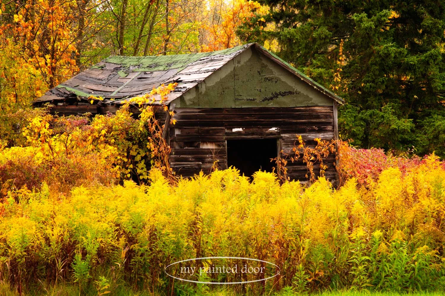 Northern Ontario walkabout - photography by Sue Sikorski
