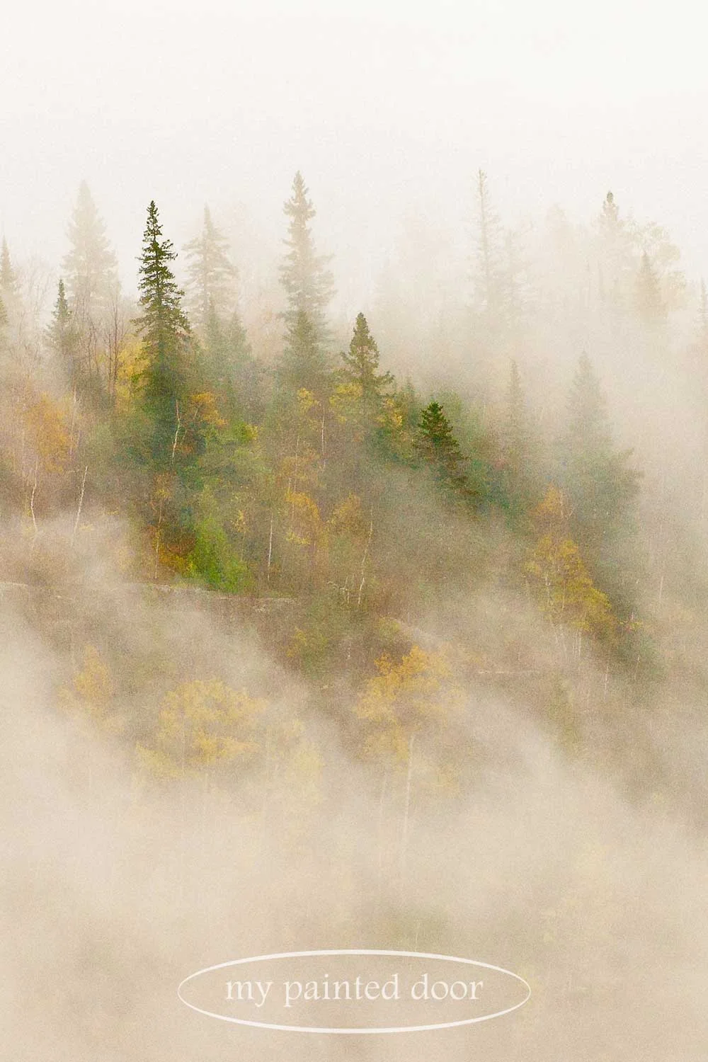 Northern Ontario walkabout - photography by Sue Sikorski