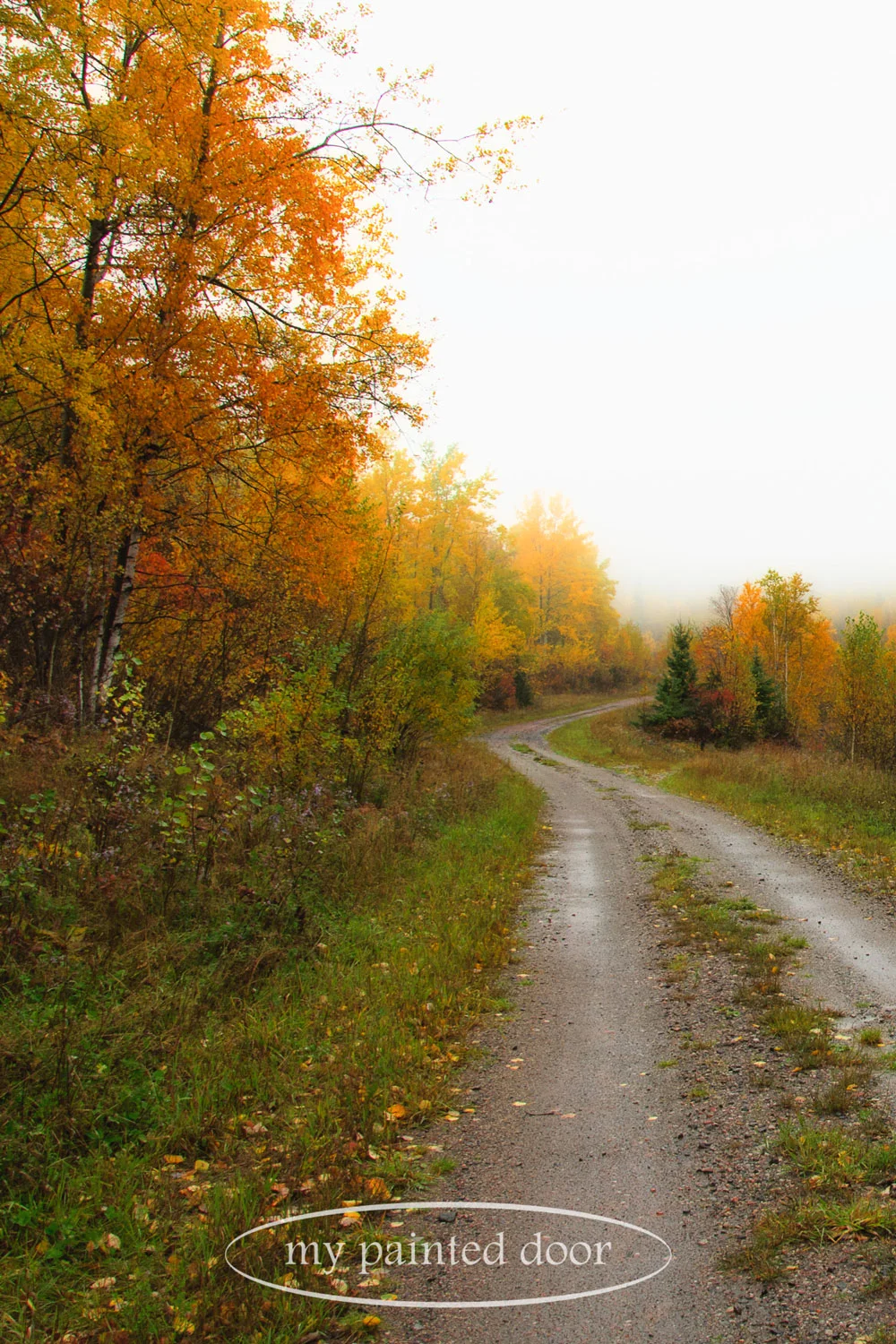 Northern Ontario walkabout - photography by Sue Sikorski