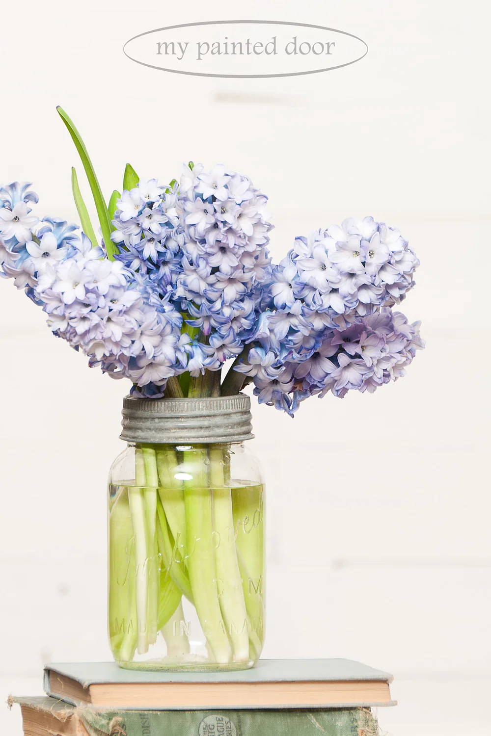 I love simplicity! Hyacinths in a mason jar.