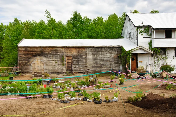 Before photo of Sue Sikorski's garden. Sue is the owner of My Painted Door.