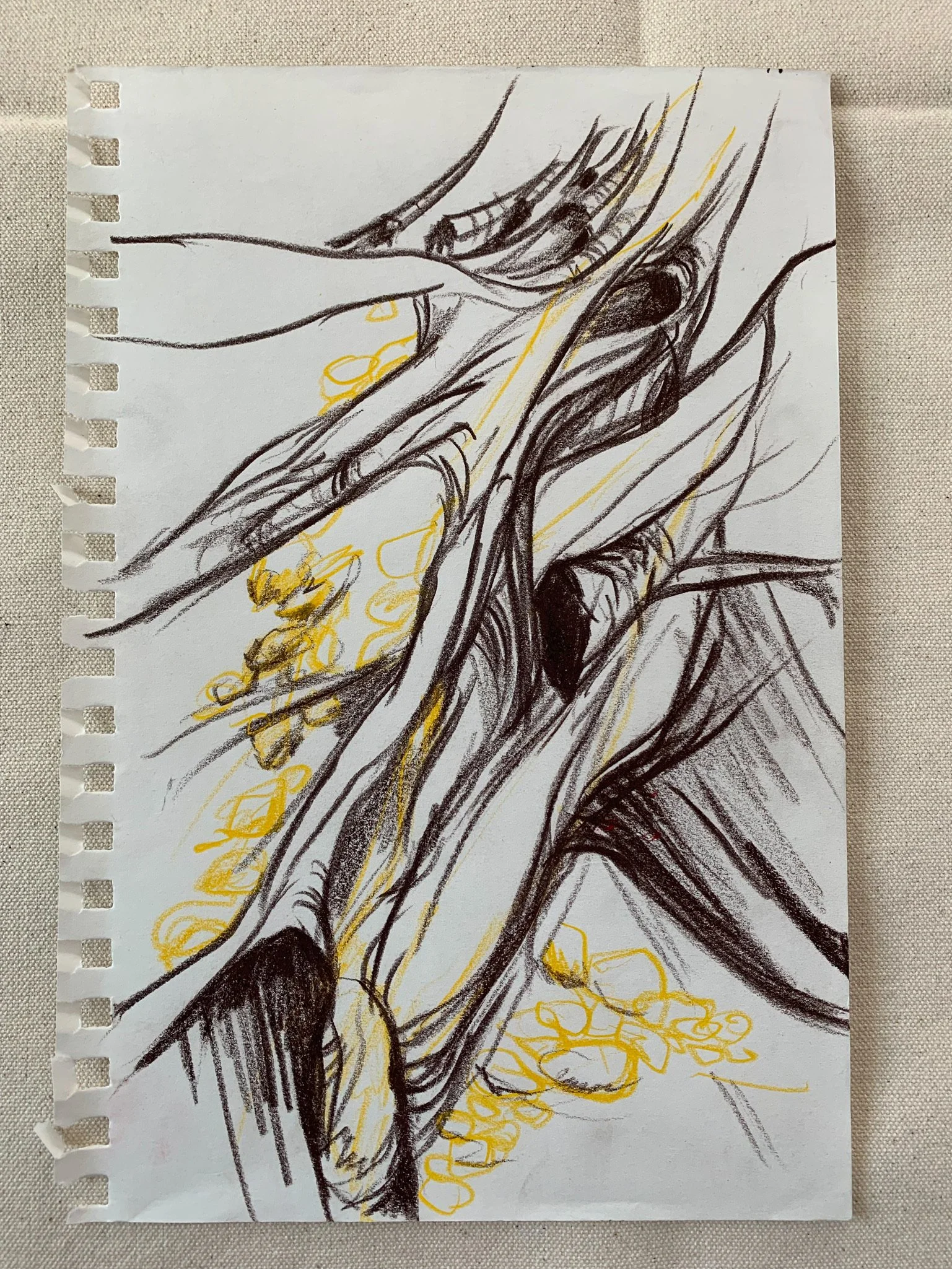 Tree Study No. 1