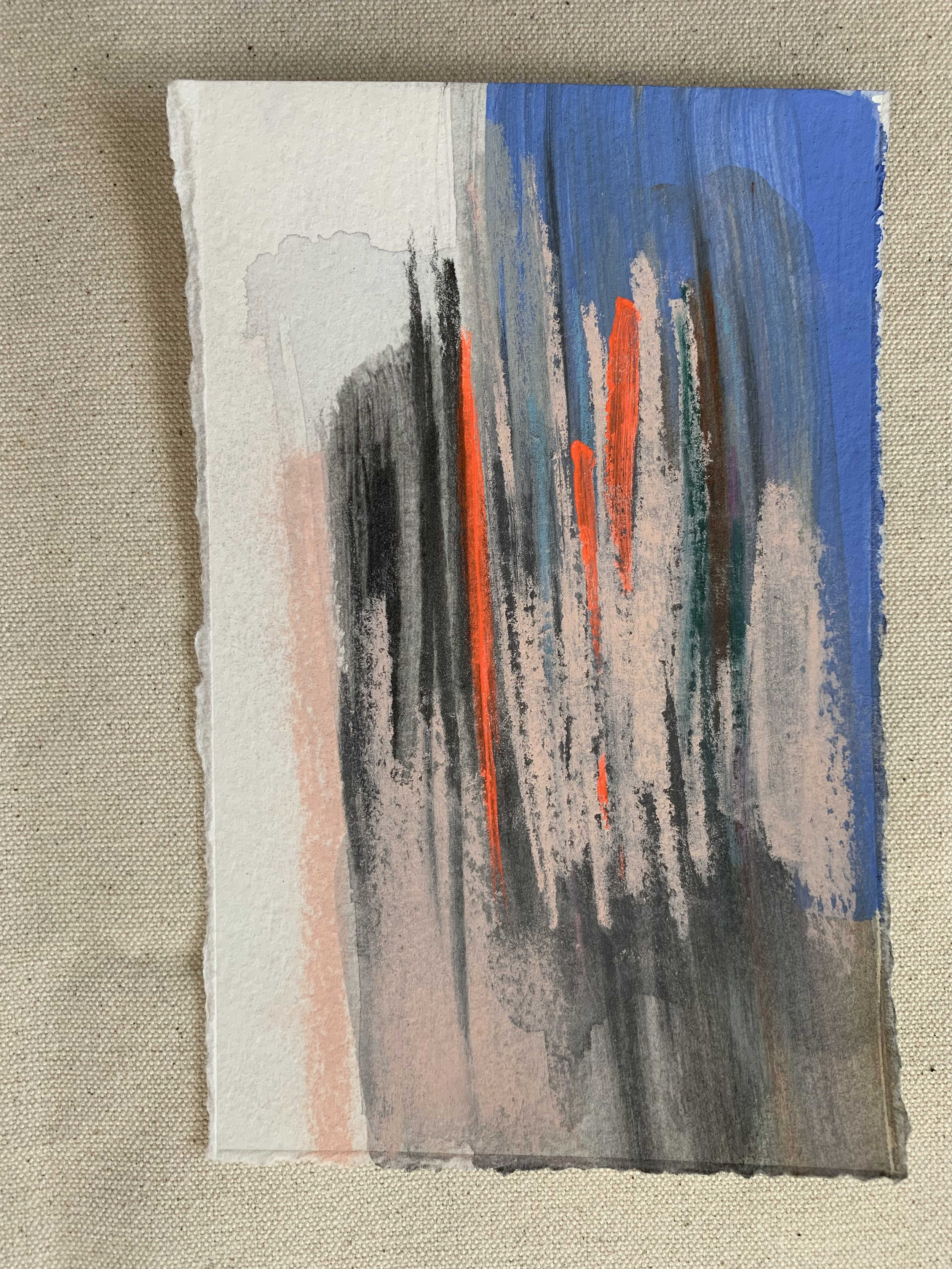 IMG_7186.png