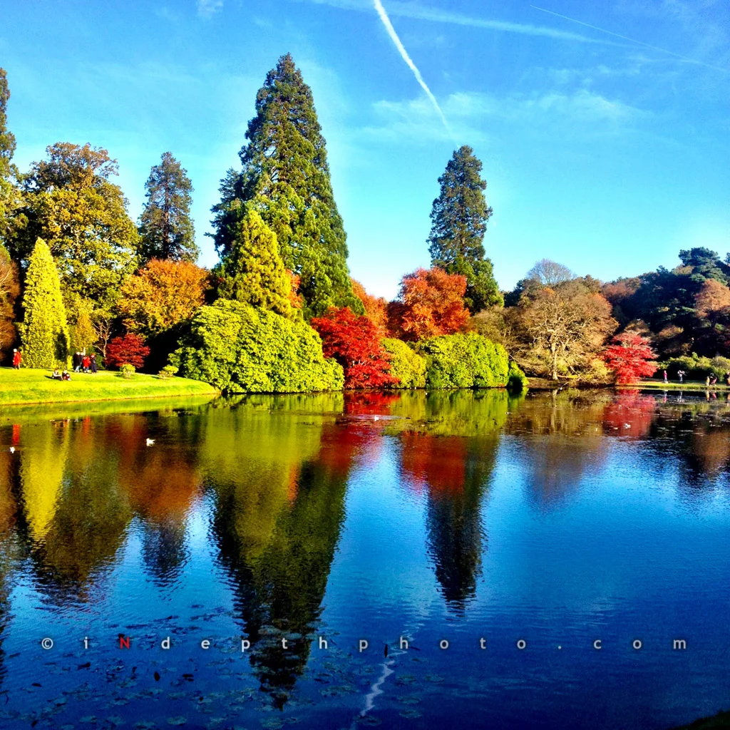 Autumn At Sheffild Park