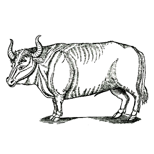 Primal Cuts