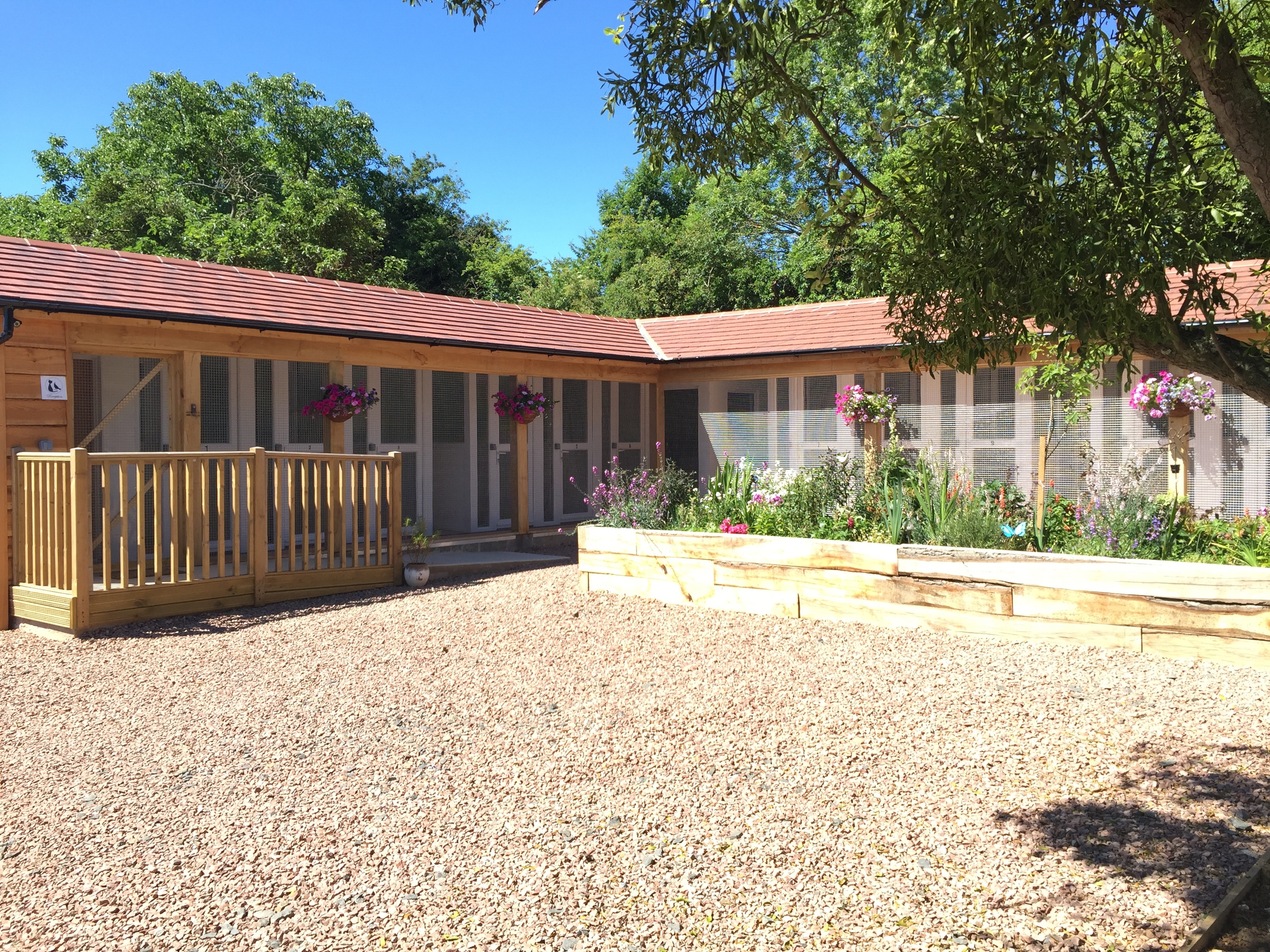 Boston Lodge Cattery