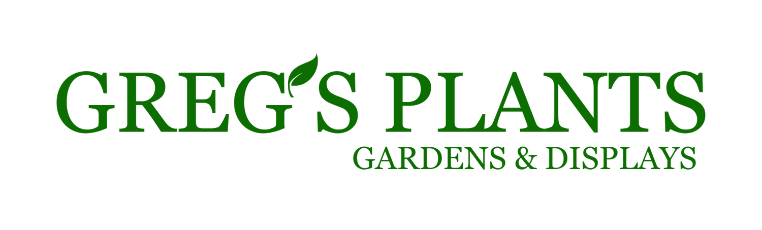 Greg's Plants