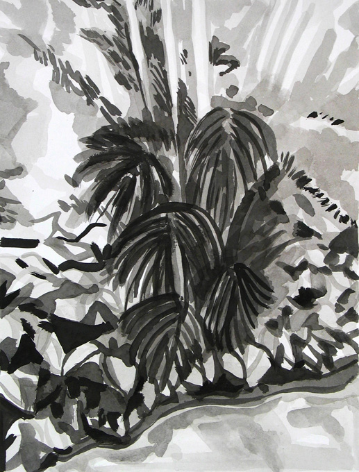 Tropical Garden