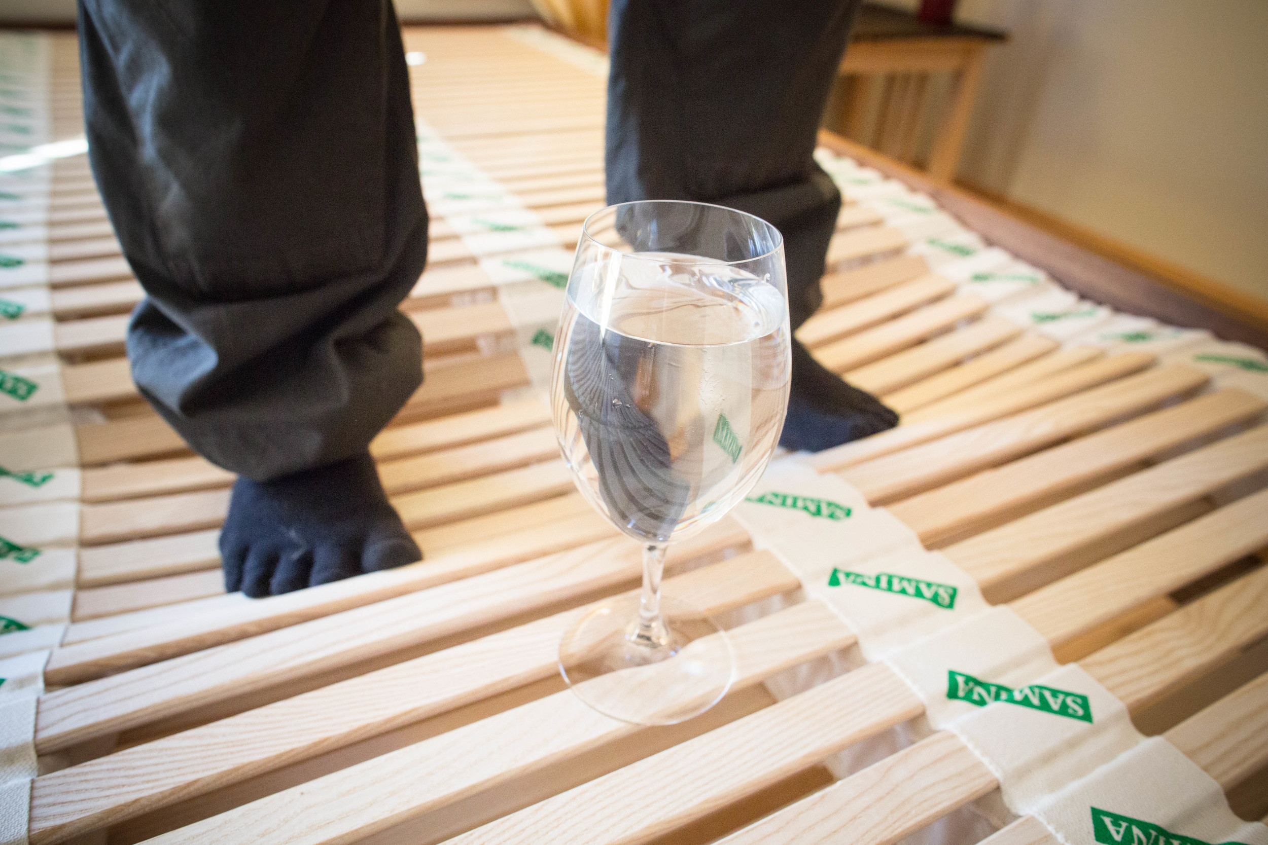 World's Healthiest Bed — Daniel Vitalis