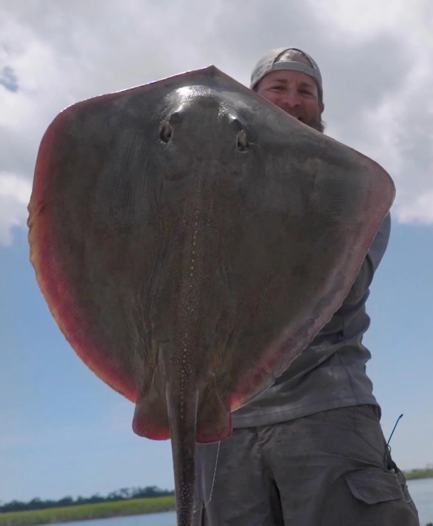We&rsquo;re putting the finishing touches on Season 6 of WildFed! I can&rsquo;t wait for you to see the 10 new episodes we&rsquo;ve made!

This stingray is just one of the incredible species that feed us in the episodes to come.&nbsp;

As we move int