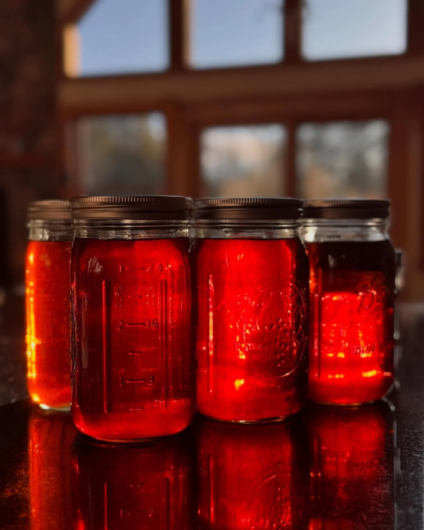 Maple Syrup = sugar self-sufficiency!&nbsp;

Today, making maple syrup is a fun hobby. One day, it could be more important.&nbsp;

We&rsquo;re living in a rare moment of incredible caloric (over)abundance, but staring into a future where this luxury 